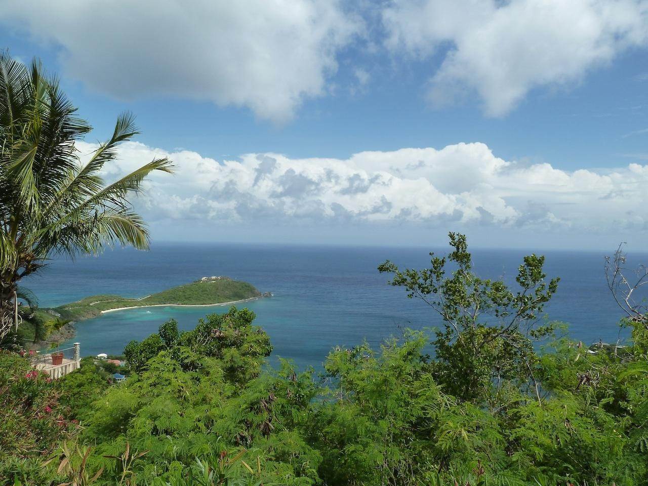 1. Land for Sale at Rendezvous & Ditleff St John, Virgin Islands 00830 United States Virgin Islands