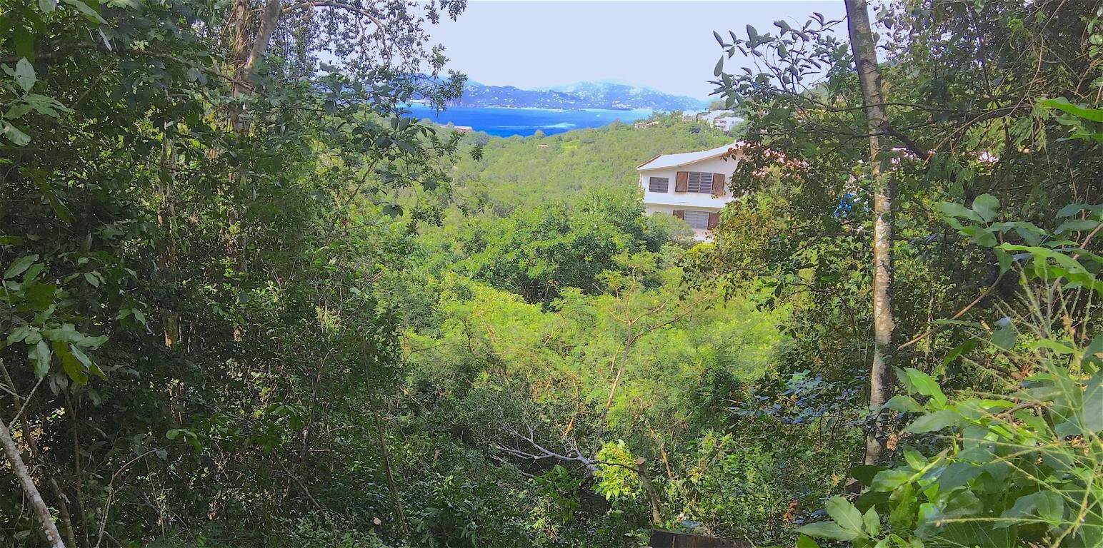 2. Land for Sale at Glucksberg St John, Virgin Islands 00830 United States Virgin Islands
