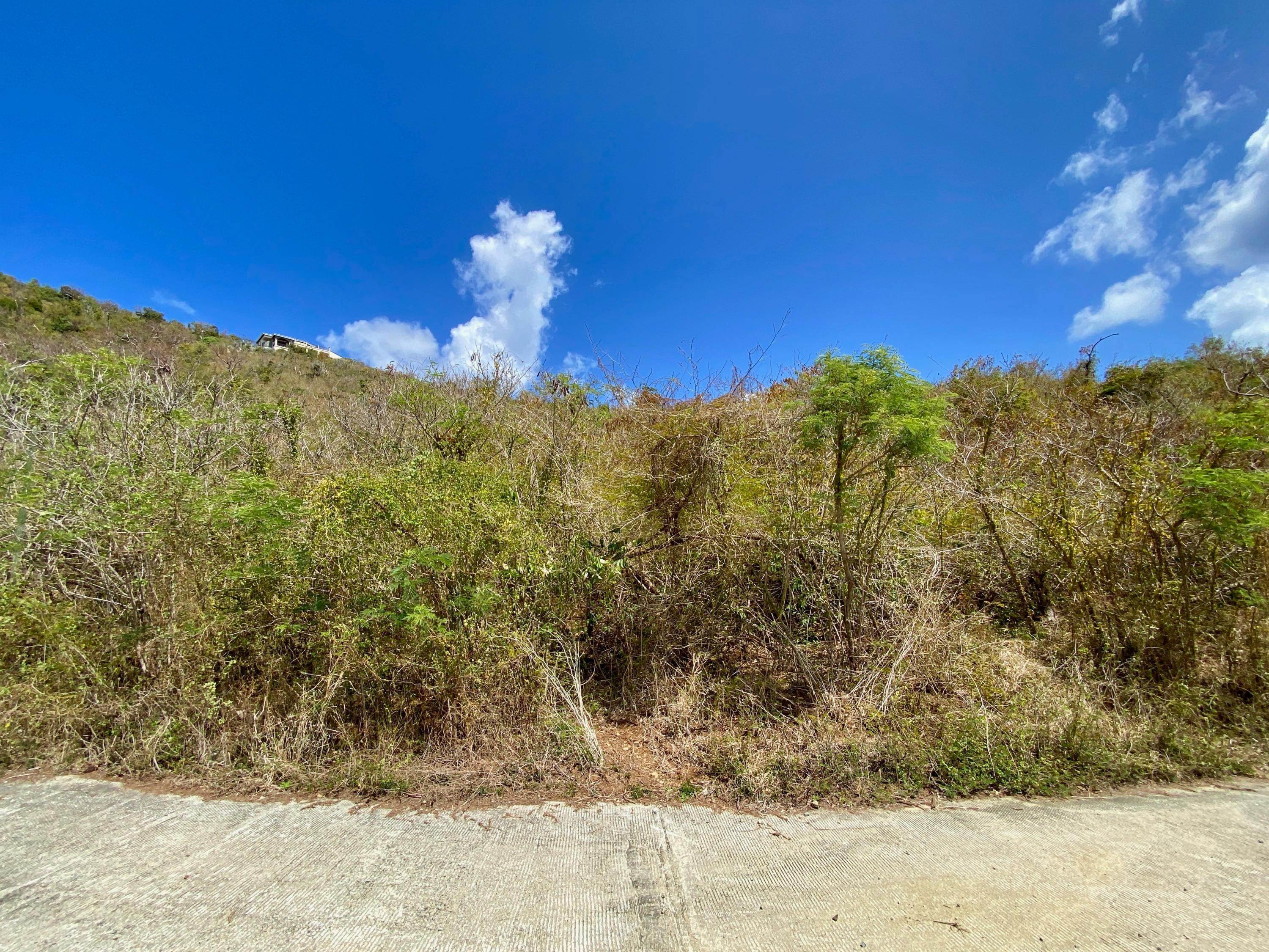 10. Land for Sale at Fortsberg St John, Virgin Islands 00830 United States Virgin Islands