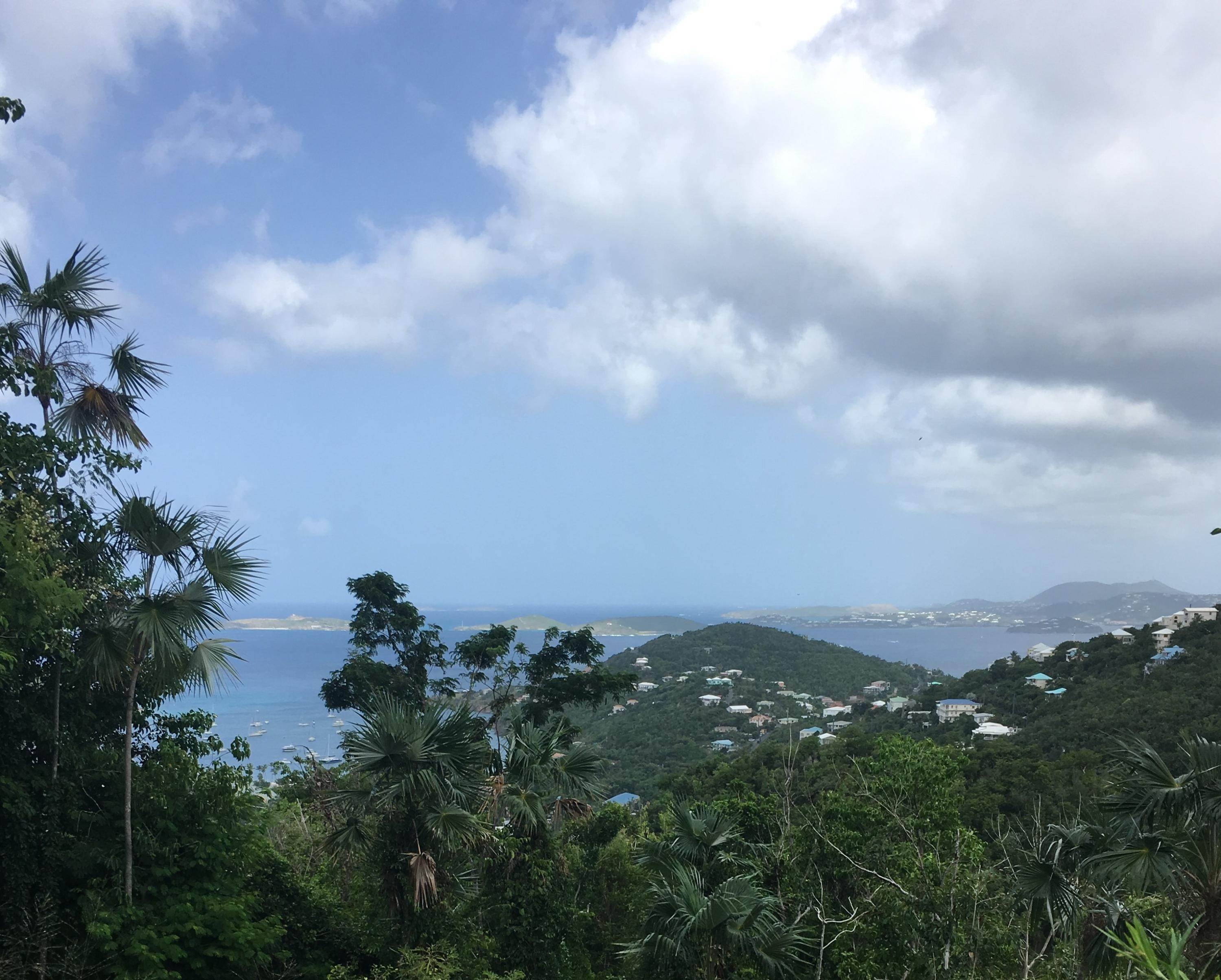 Terrain pour l Vente à Sans Soucci & Guinea Gut St John, Virgin Islands 00830 Isles Vierges Américaines