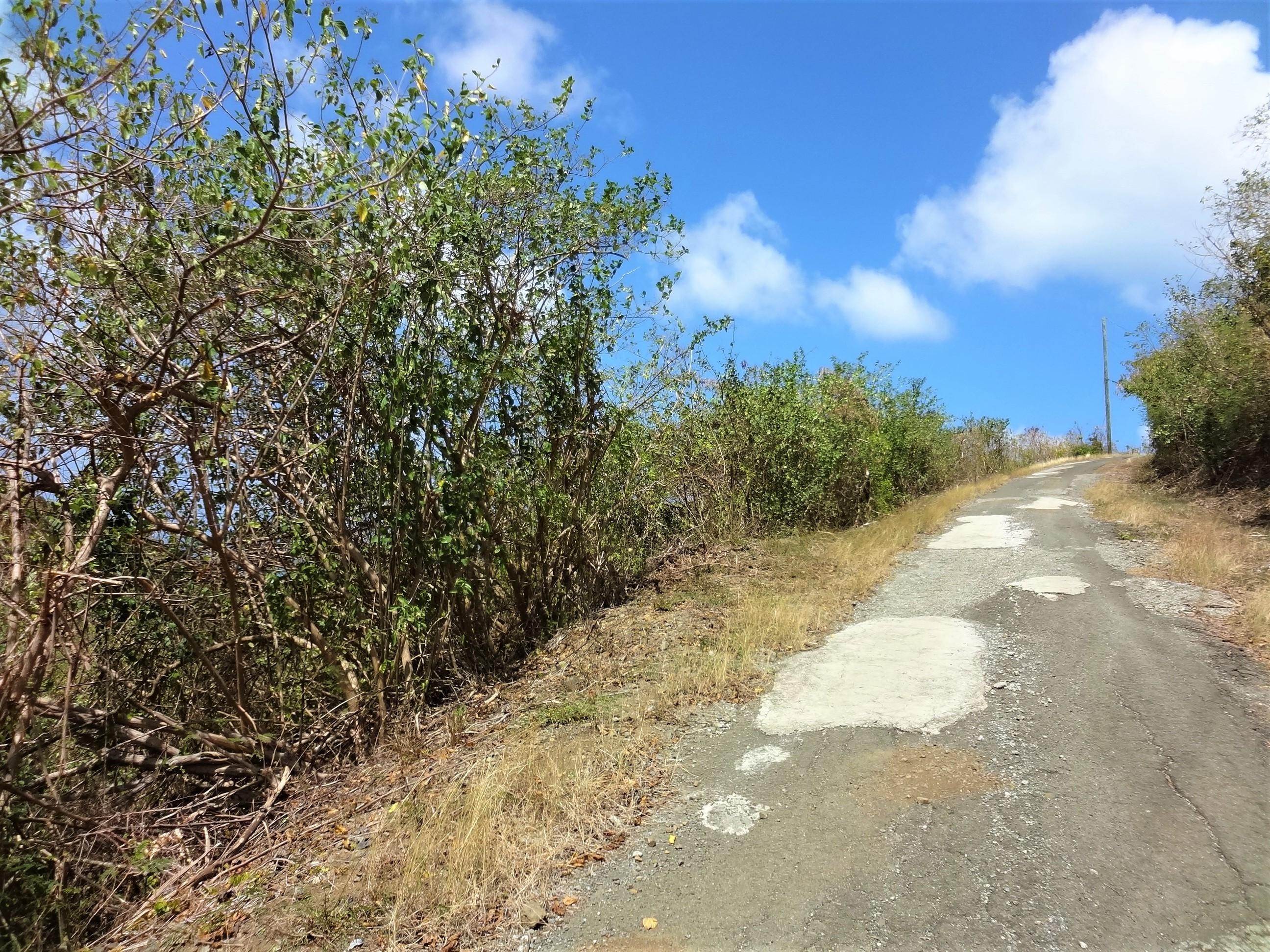 6. Land for Sale at 41 Seven Hills EA St Croix, Virgin Islands 00820 United States Virgin Islands