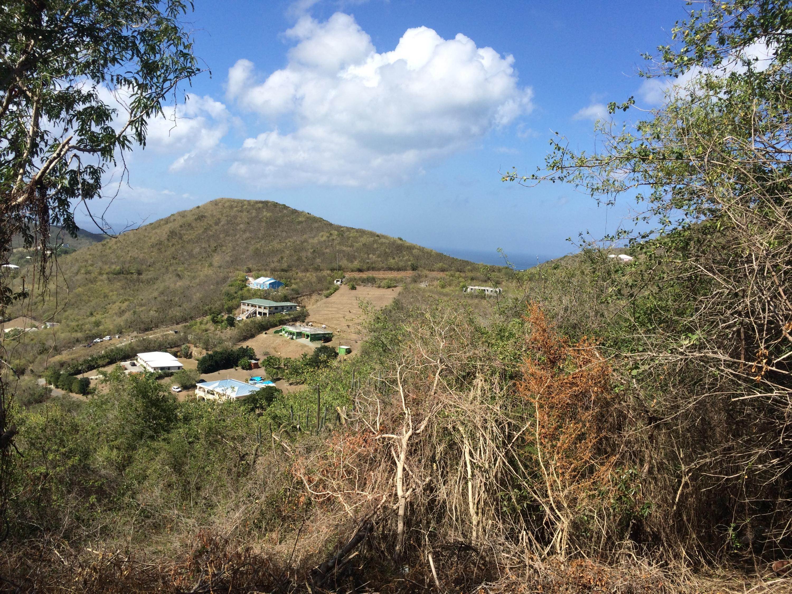 5. Land for Sale at 285 Union & Mt. Wash EA St Croix, Virgin Islands 00820 United States Virgin Islands