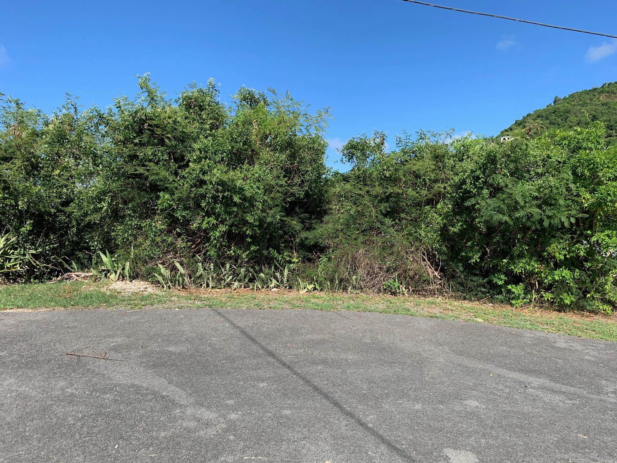 3. Land for Sale at 22 Hermon Hill CO St Croix, Virgin Islands 00820 United States Virgin Islands