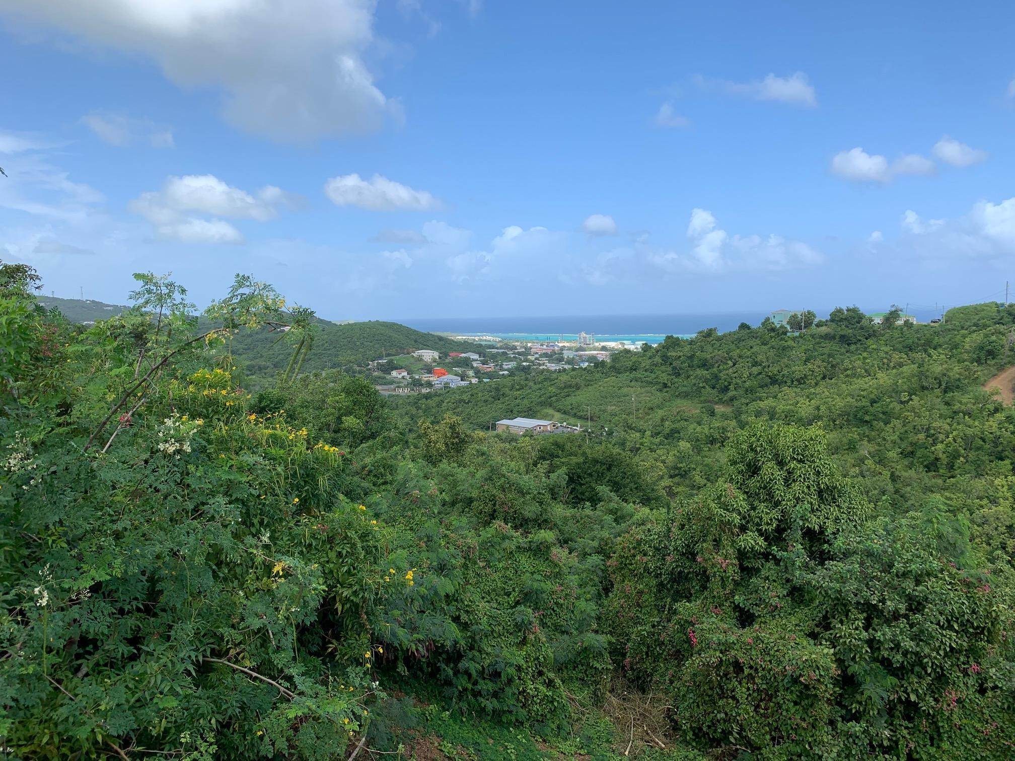 12. Land for Sale at 22 Hermon Hill CO St Croix, Virgin Islands 00820 United States Virgin Islands