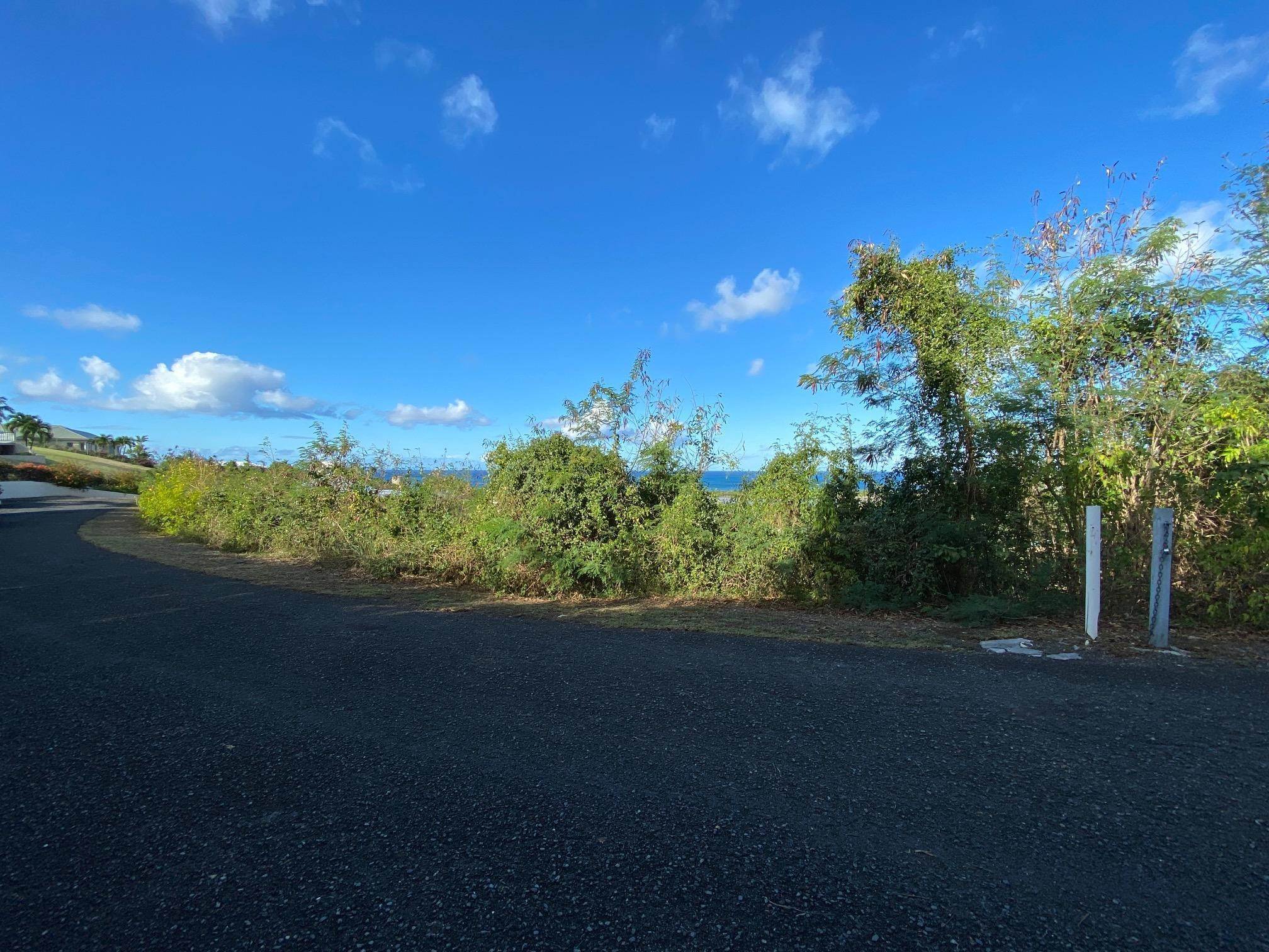 4. Land for Sale at 116 Mt. Pleasant EA St Croix, Virgin Islands 00820 United States Virgin Islands