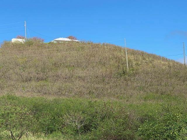 2. Land for Sale at 106 Green Cay EA St Croix, Virgin Islands 00820 United States Virgin Islands