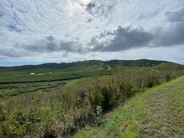 6. Land for Sale at 106 Green Cay EA St Croix, Virgin Islands 00820 United States Virgin Islands