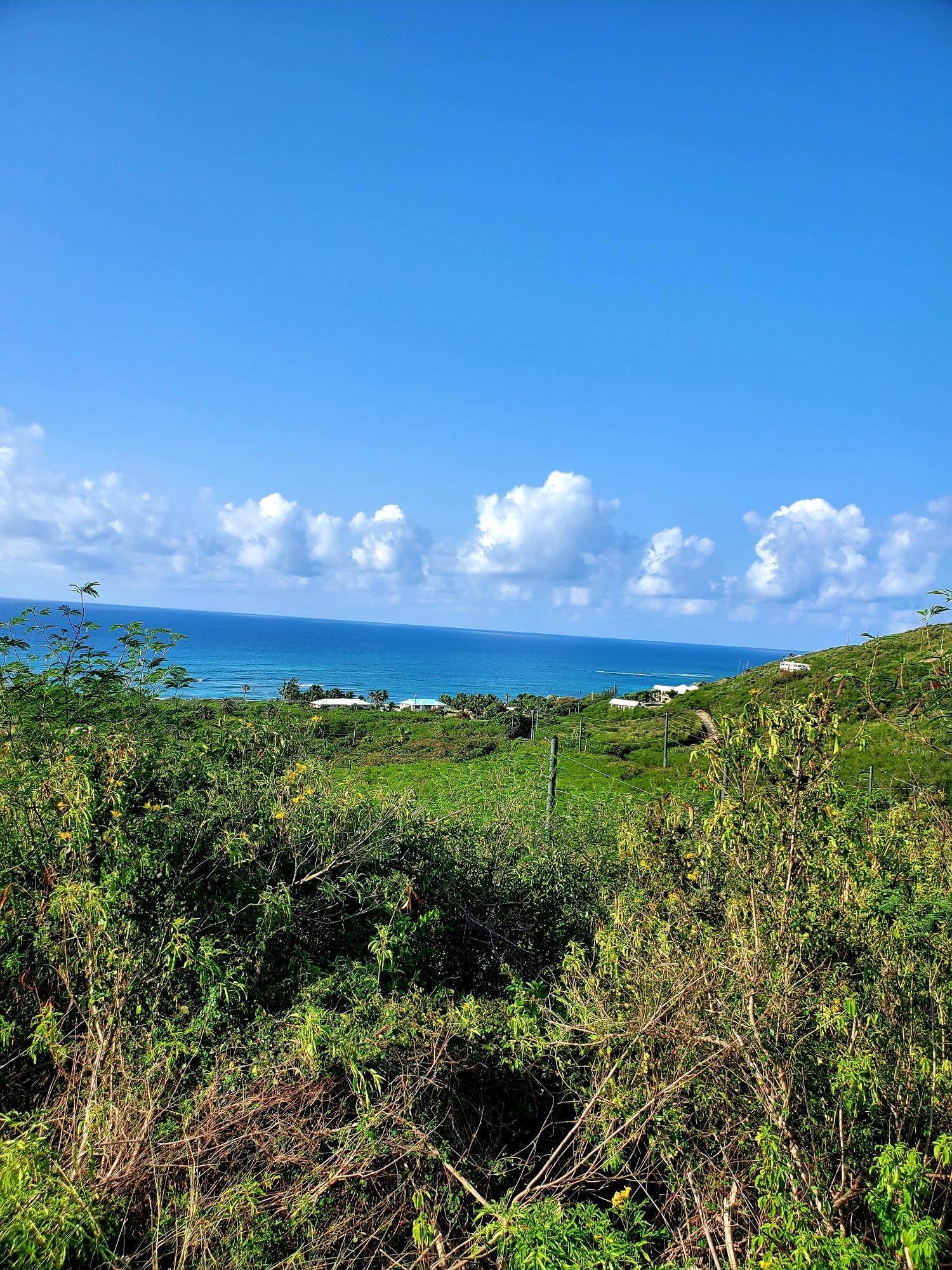 4. Land for Sale at 60 North Grapetree Bay EB St Croix, Virgin Islands 00820 United States Virgin Islands