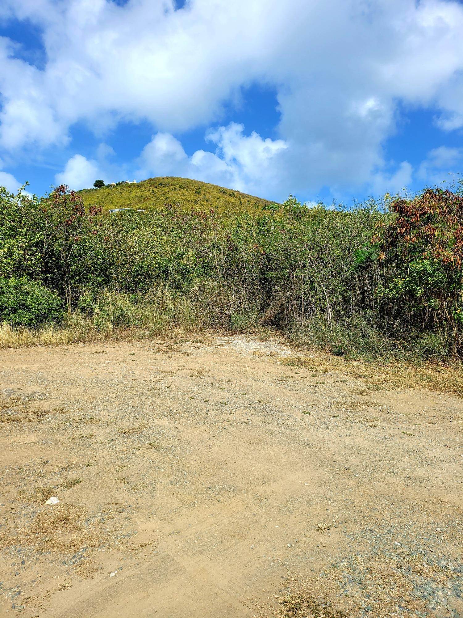 4. Land for Sale at 390 Union & Mt. Wash EA St Croix, Virgin Islands 00820 United States Virgin Islands