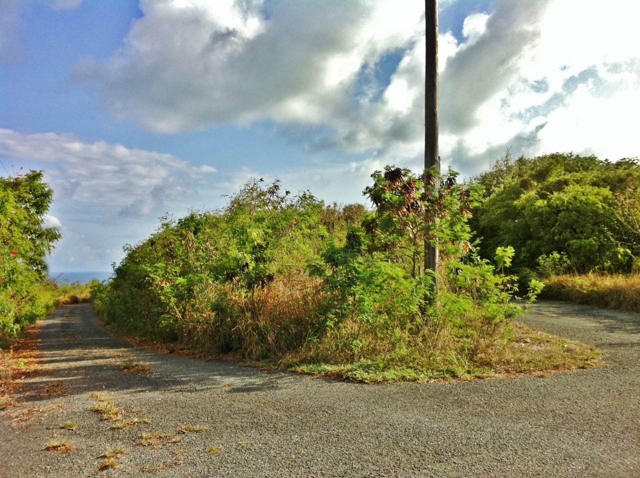 11. Land for Sale at 286-292 Union & Mt. Wash EA St Croix, Virgin Islands 00820 United States Virgin Islands