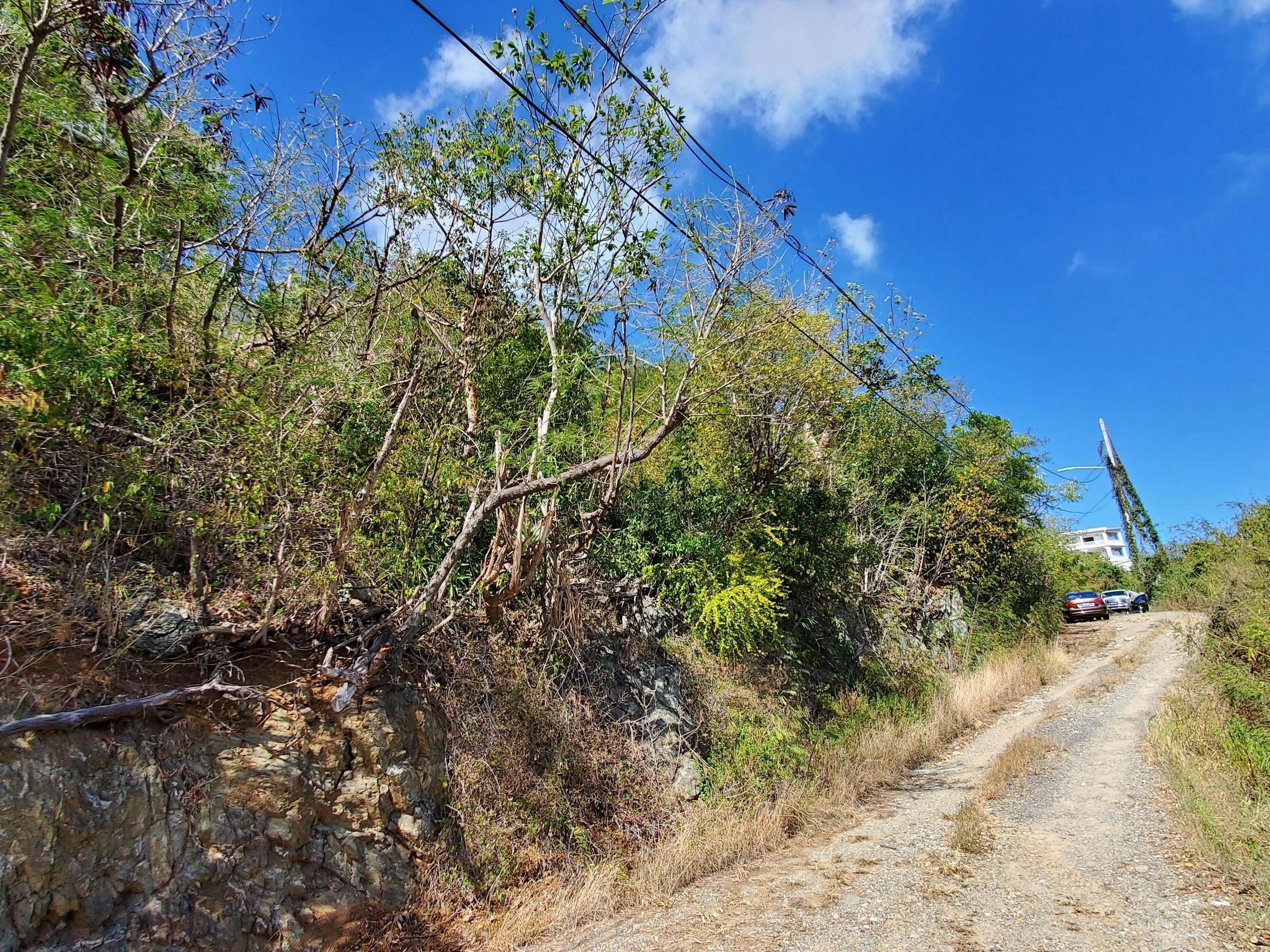 5. Land for Sale at 53-38 Frydendal EE St Thomas, Virgin Islands 00802 United States Virgin Islands