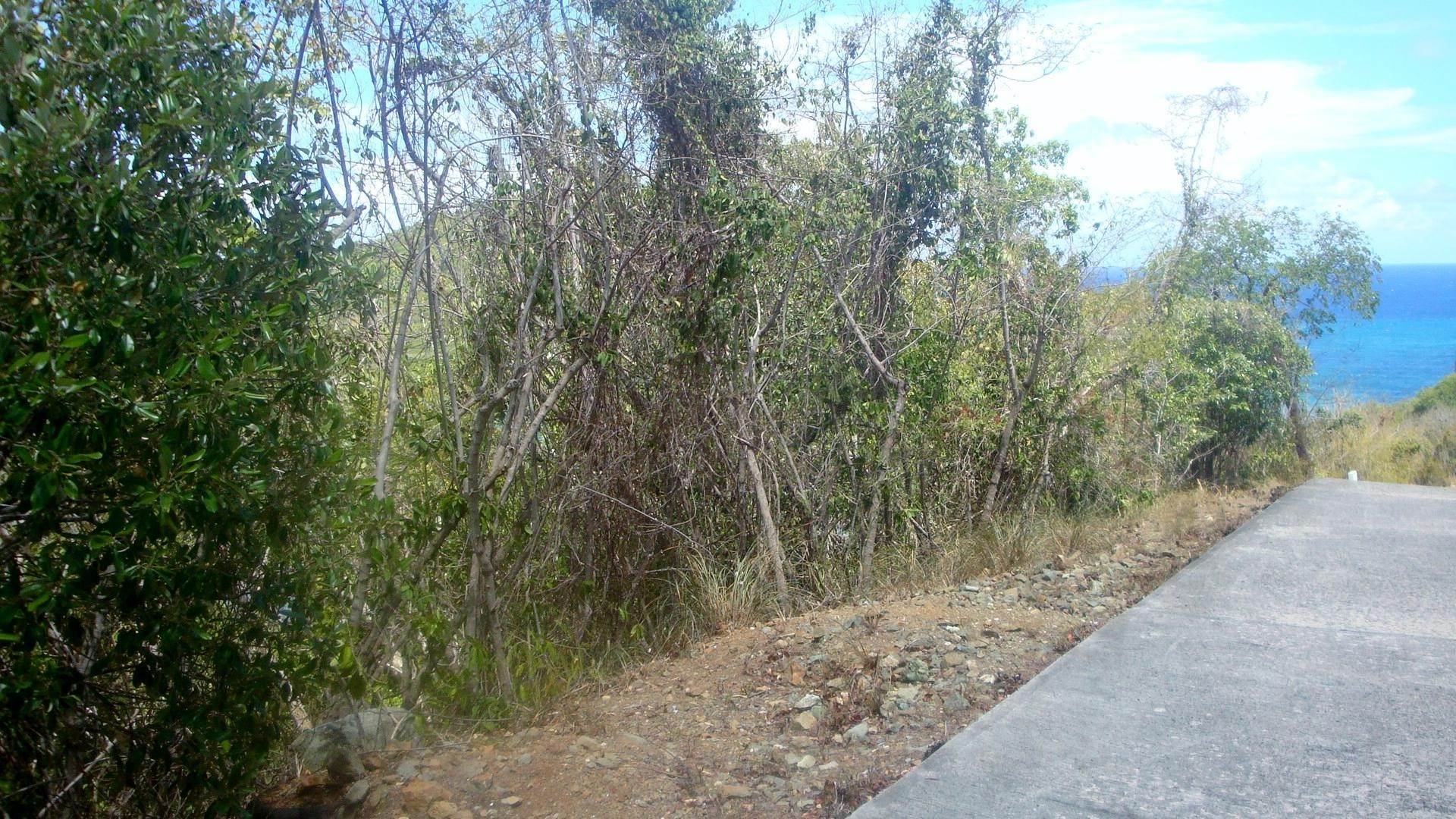 1. Land for Sale at 15A-8-B-6 Rendezvous & Ditleff St Croix, Virgin Islands 00830 United States Virgin Islands