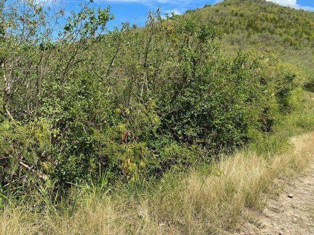 3. Land for Sale at 30 North Grapetree EB St Croix, Virgin Islands 00820 United States Virgin Islands