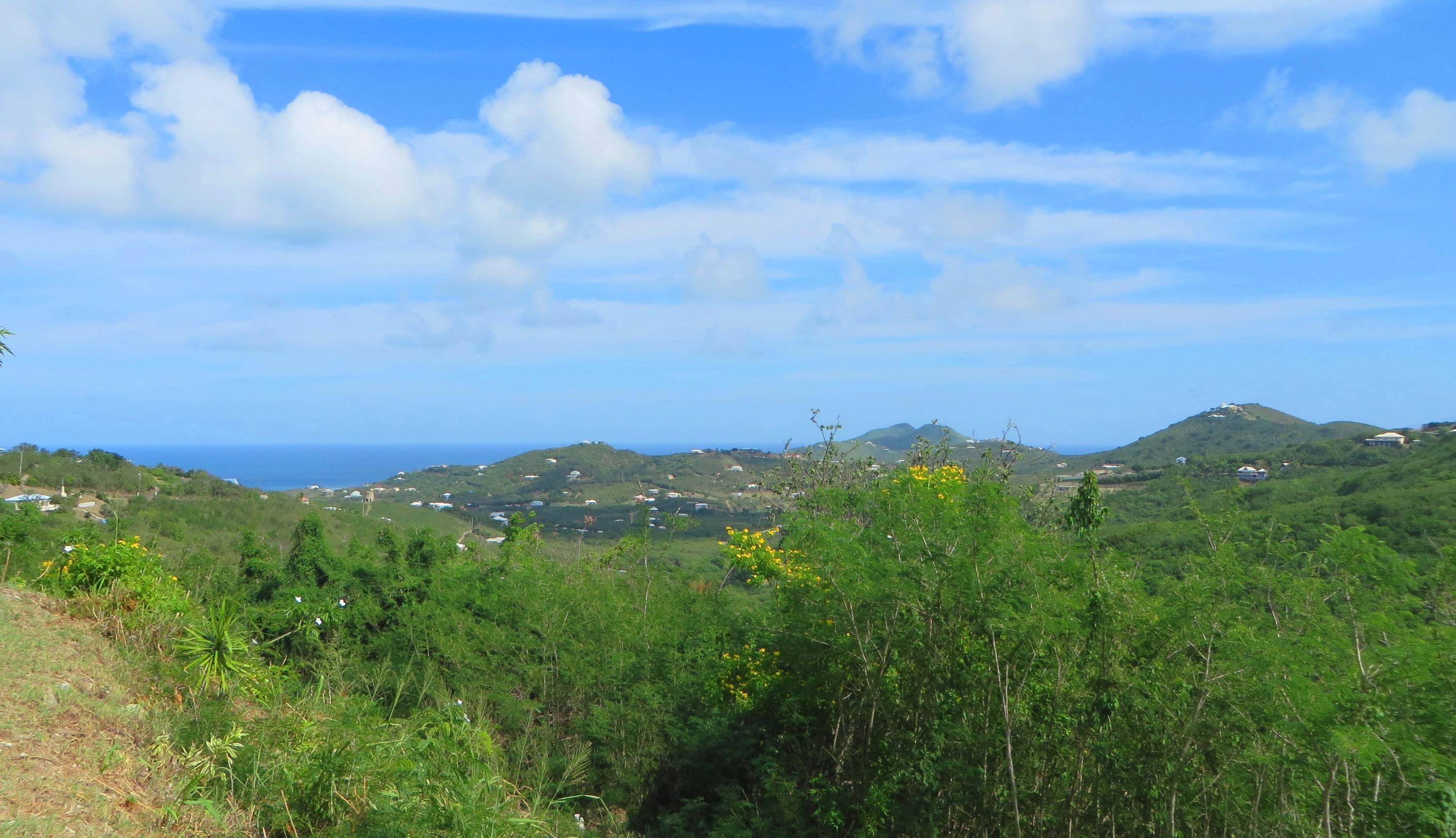 1. Land for Sale at 143 Cotton Valley EB St Croix, Virgin Islands 00820 United States Virgin Islands