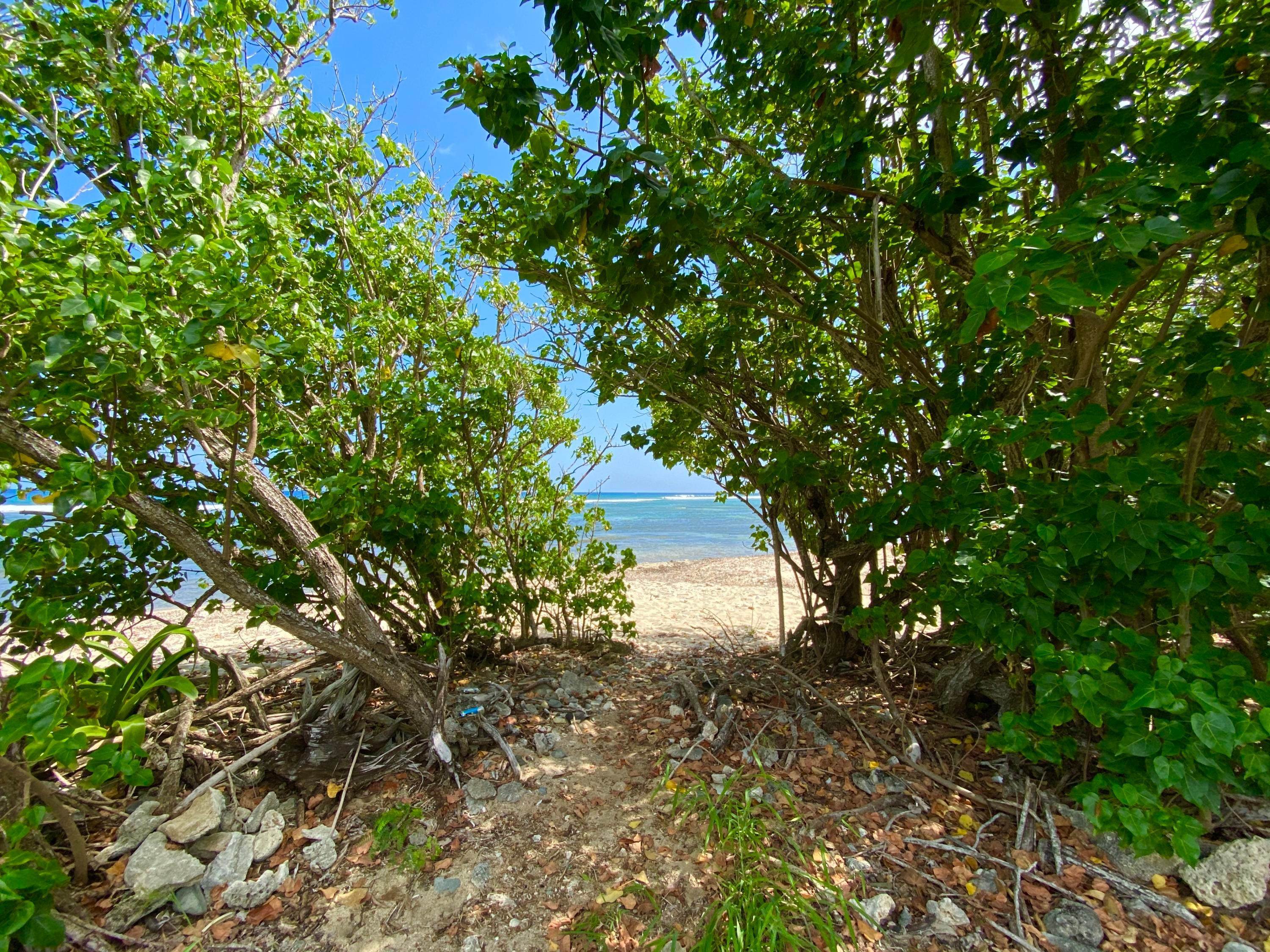 10. Land for Sale at 88 Rust-Op-Twist NB St Croix, Virgin Islands 00840 United States Virgin Islands