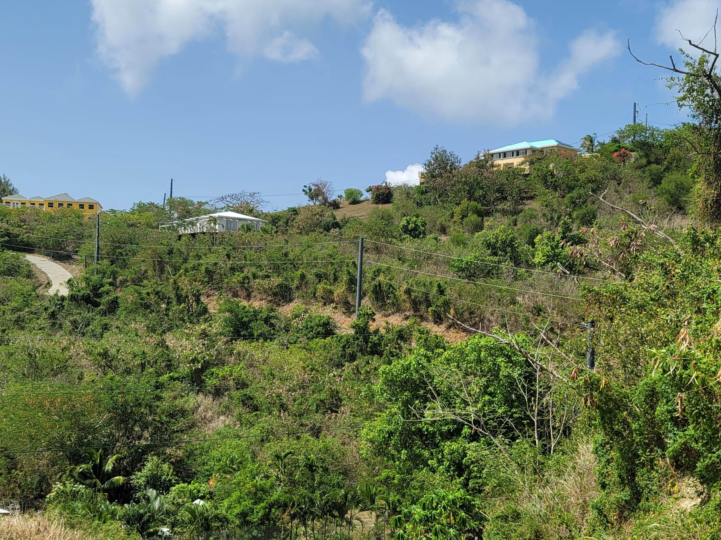 5. Land for Sale at 31 Lowry Hill EA St Croix, Virgin Islands 00820 United States Virgin Islands