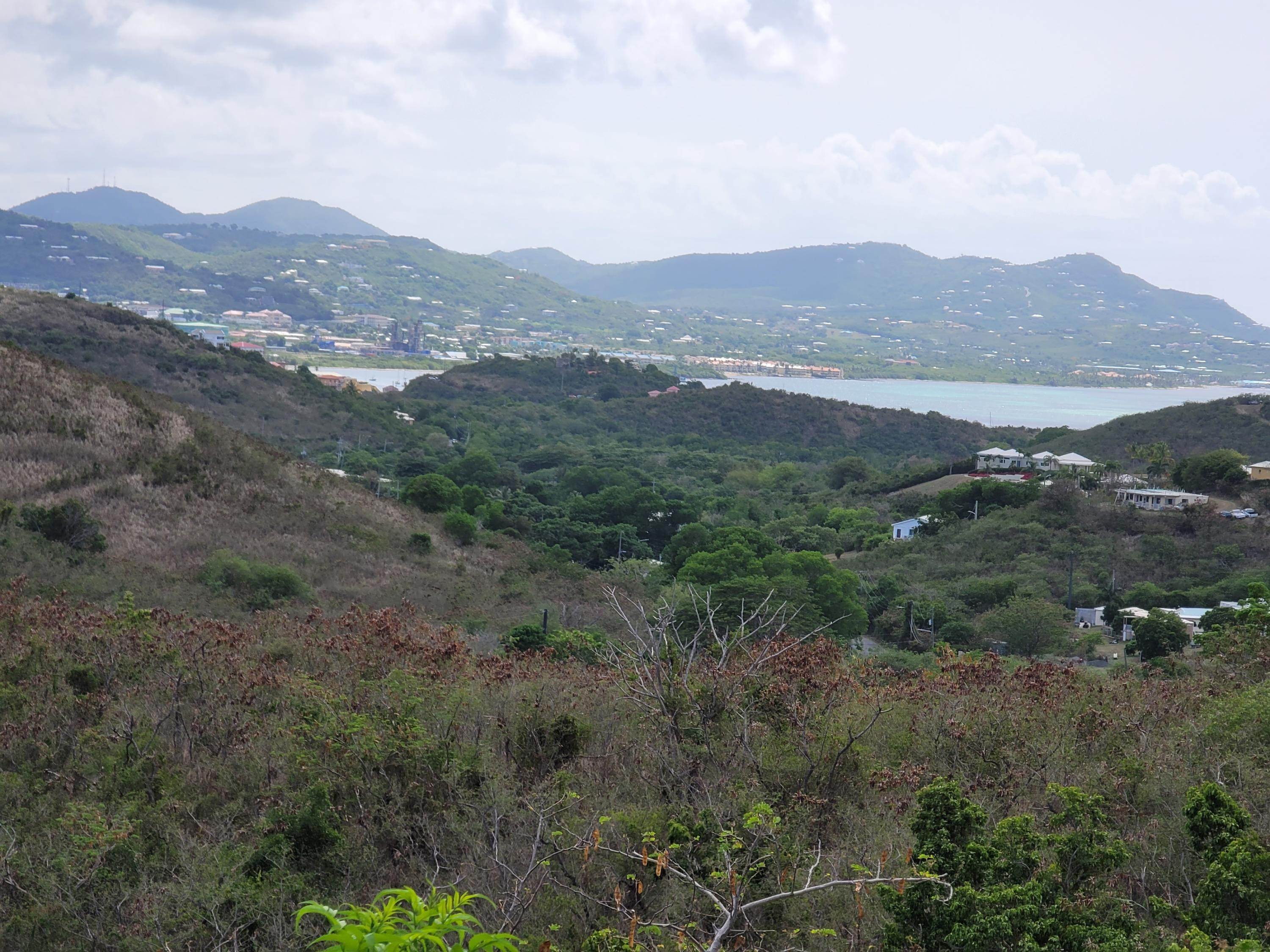 9. Land for Sale at 31 Lowry Hill EA St Croix, Virgin Islands 00820 United States Virgin Islands