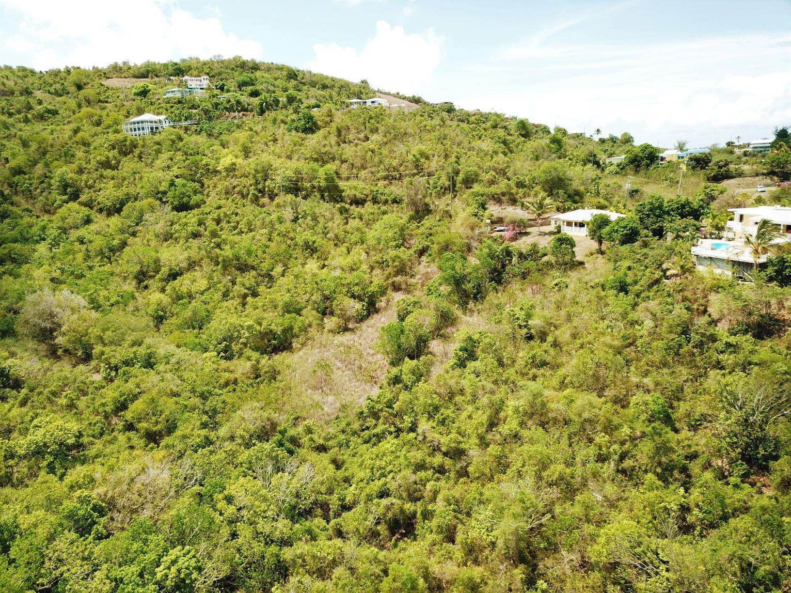 7. Land for Sale at 112 & 116 Hermon Hill CO St Croix, Virgin Islands 00820 United States Virgin Islands