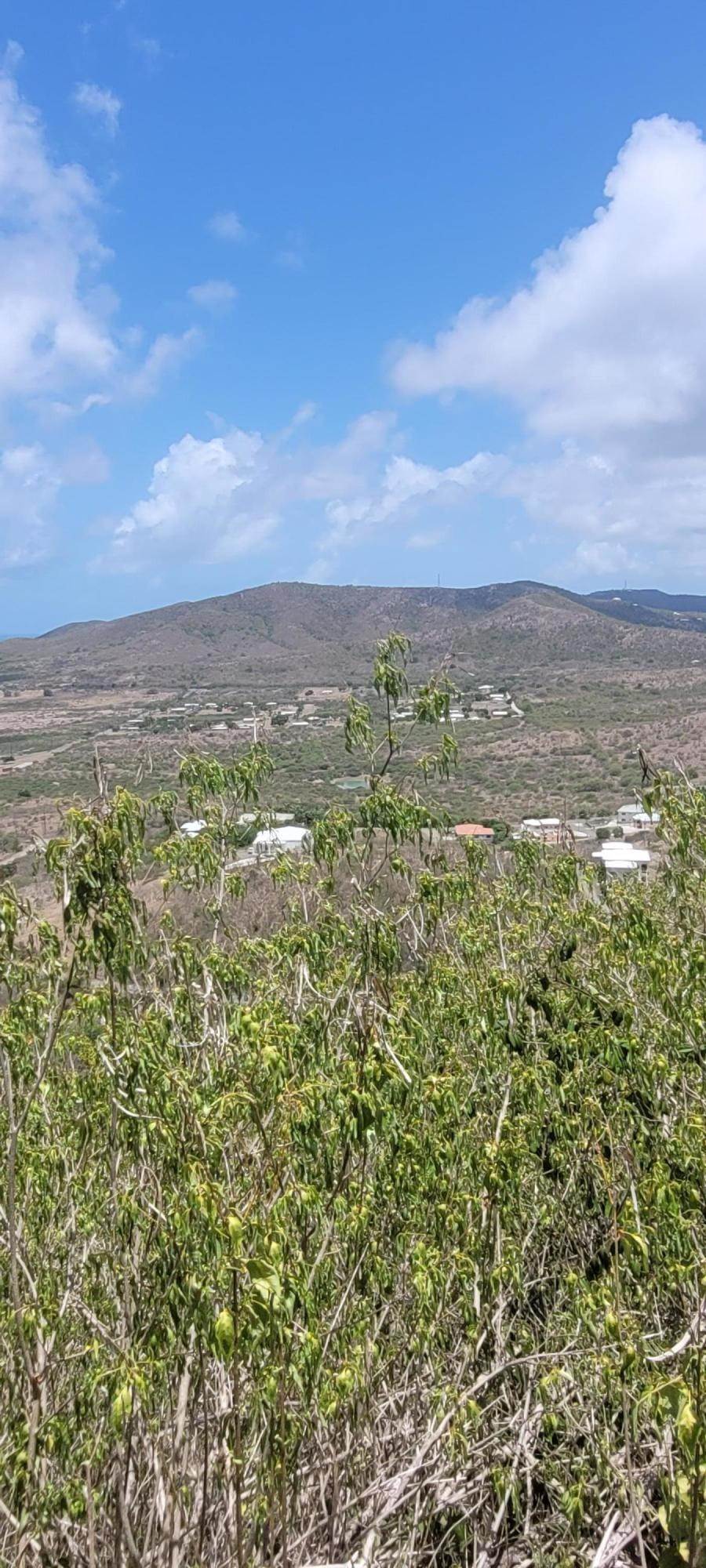 6. Land for Sale at 198 Union & Mt. Wash EA St Croix, Virgin Islands 00820 United States Virgin Islands
