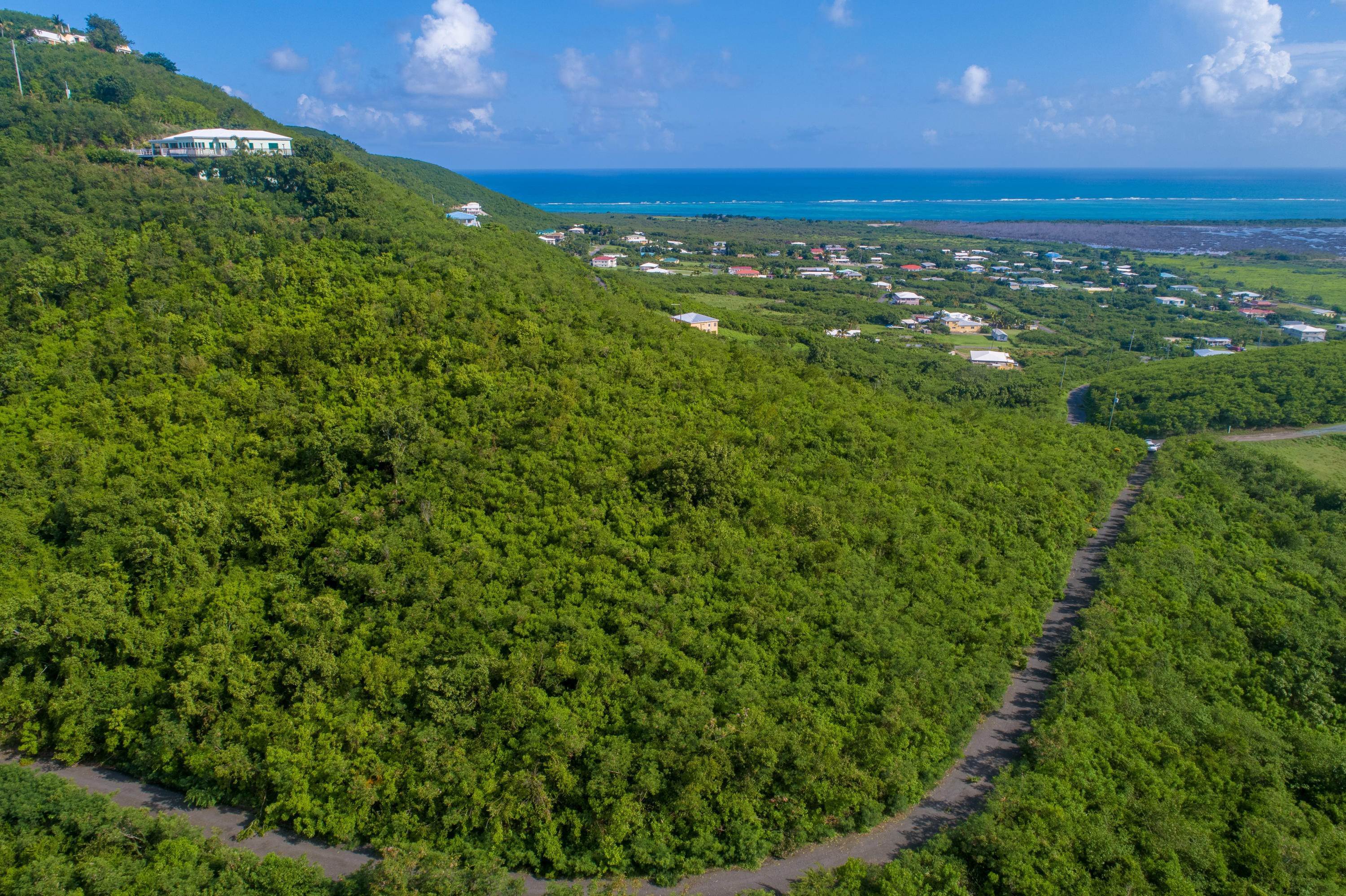 Land for Sale at 193 Union & Mt. Wash EA St Croix, Virgin Islands 00820 United States Virgin Islands