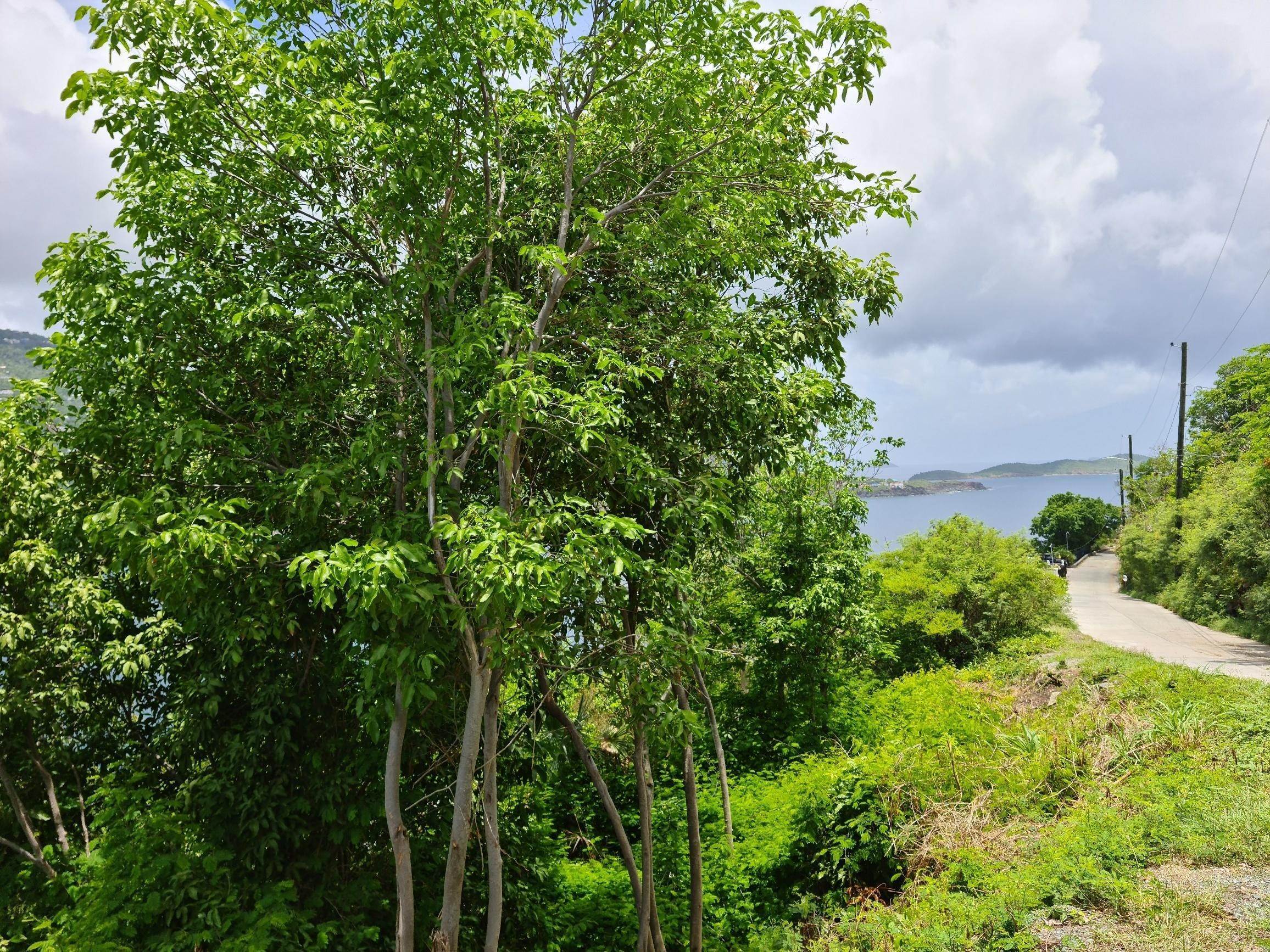 2. Land for Sale at 10-3-8 Peterborg GNS St Thomas, Virgin Islands 00802 United States Virgin Islands