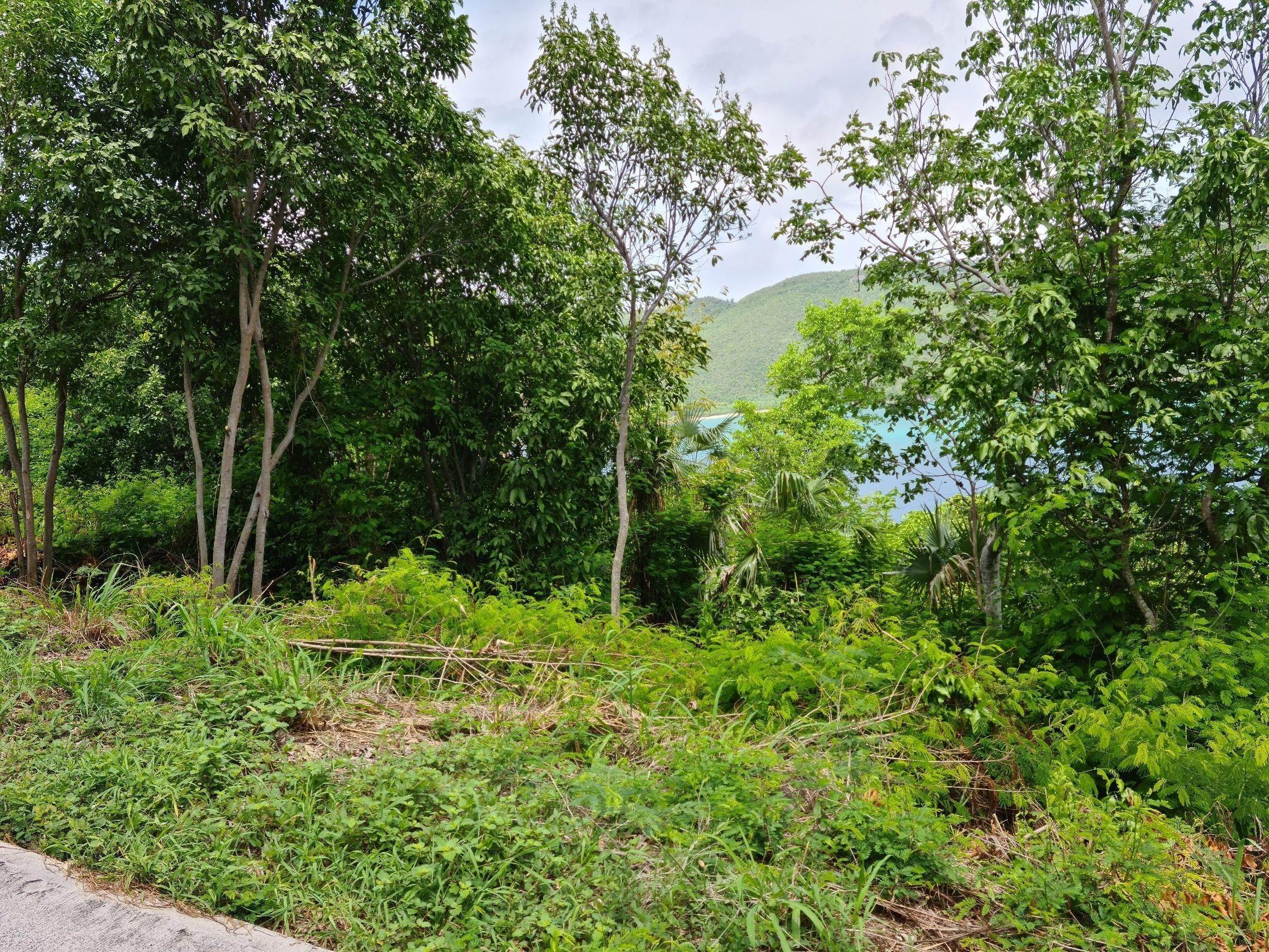 4. Land for Sale at 10-3-8 Peterborg GNS St Thomas, Virgin Islands 00802 United States Virgin Islands