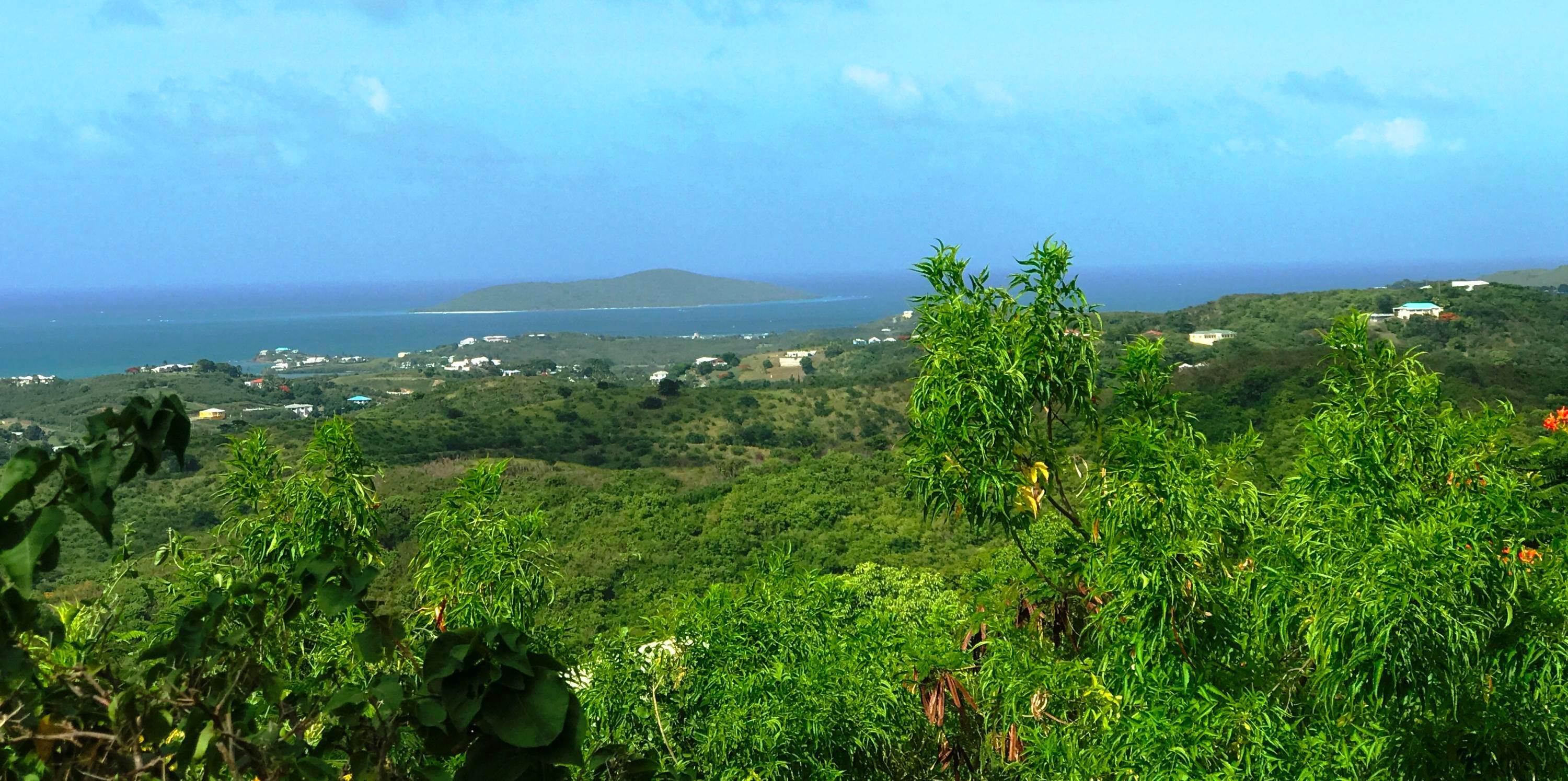 5. Land for Sale at 16 Eliza's Retreat EA St Croix, Virgin Islands 00820 United States Virgin Islands