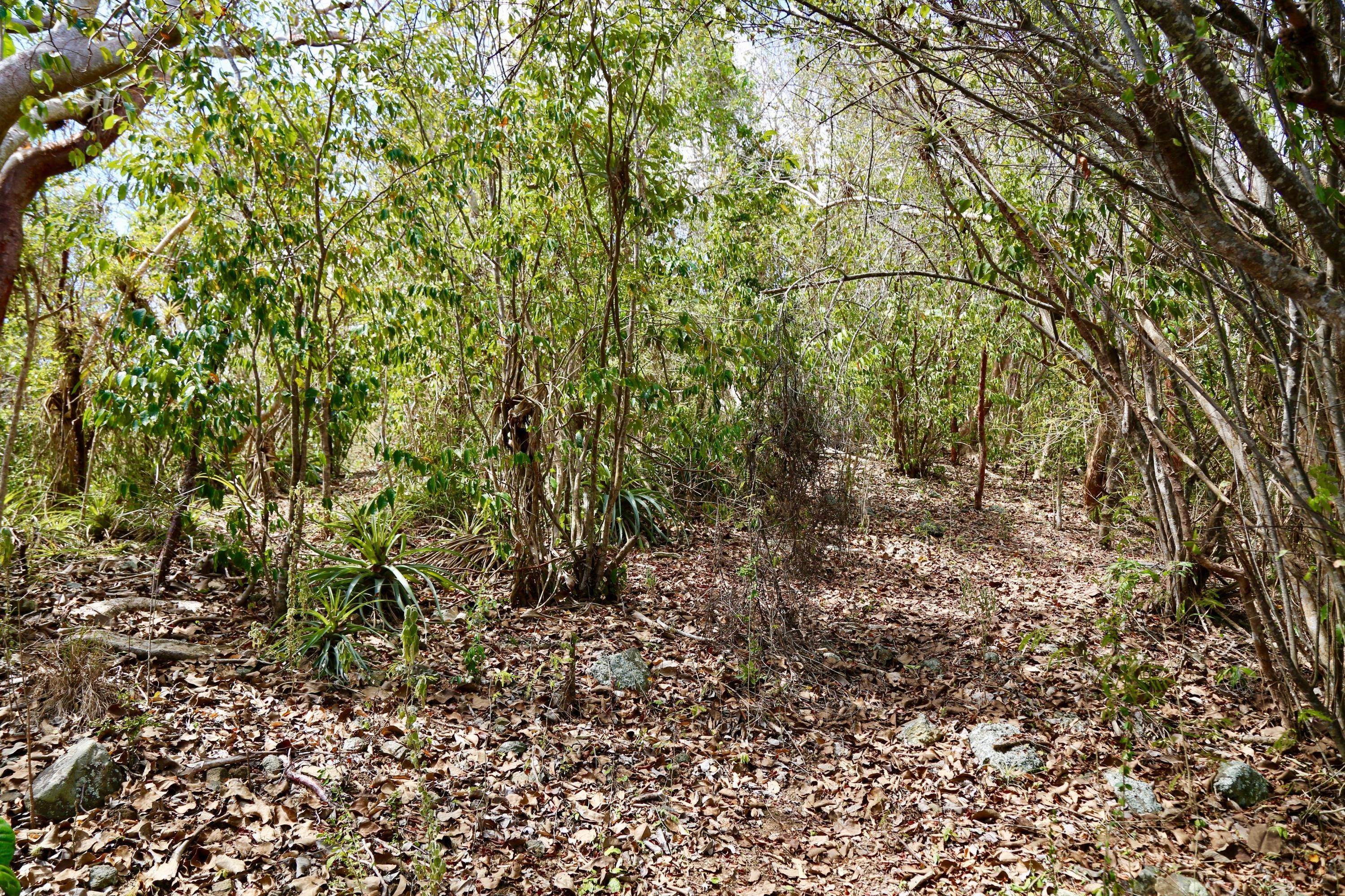 7. Land for Sale at 6A-1-34 Quaco and Zimmerman CORL St Croix, Virgin Islands 00830 United States Virgin Islands