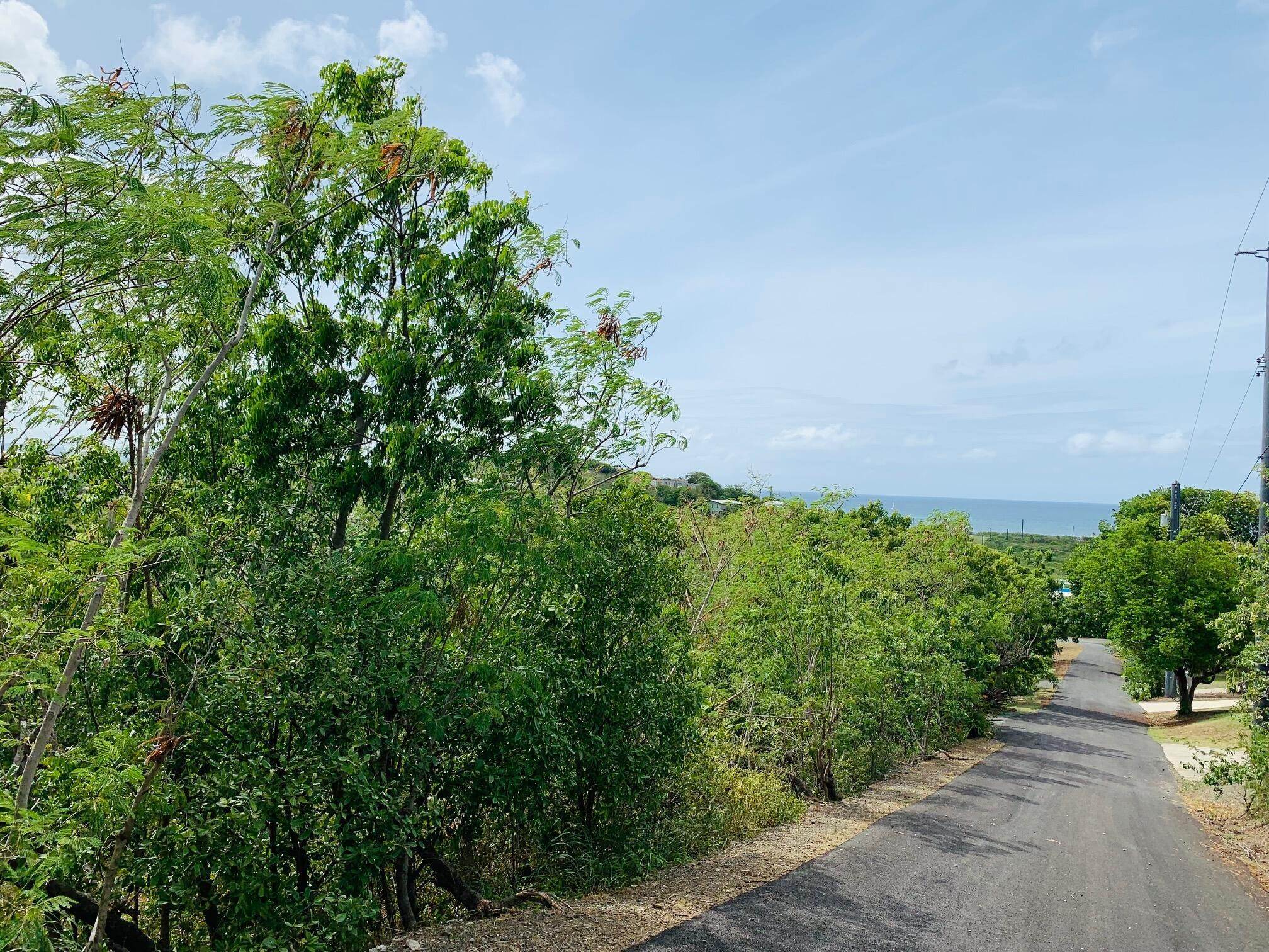 6. Land for Sale at 71 Green Cay EA St Croix, Virgin Islands 00820 United States Virgin Islands
