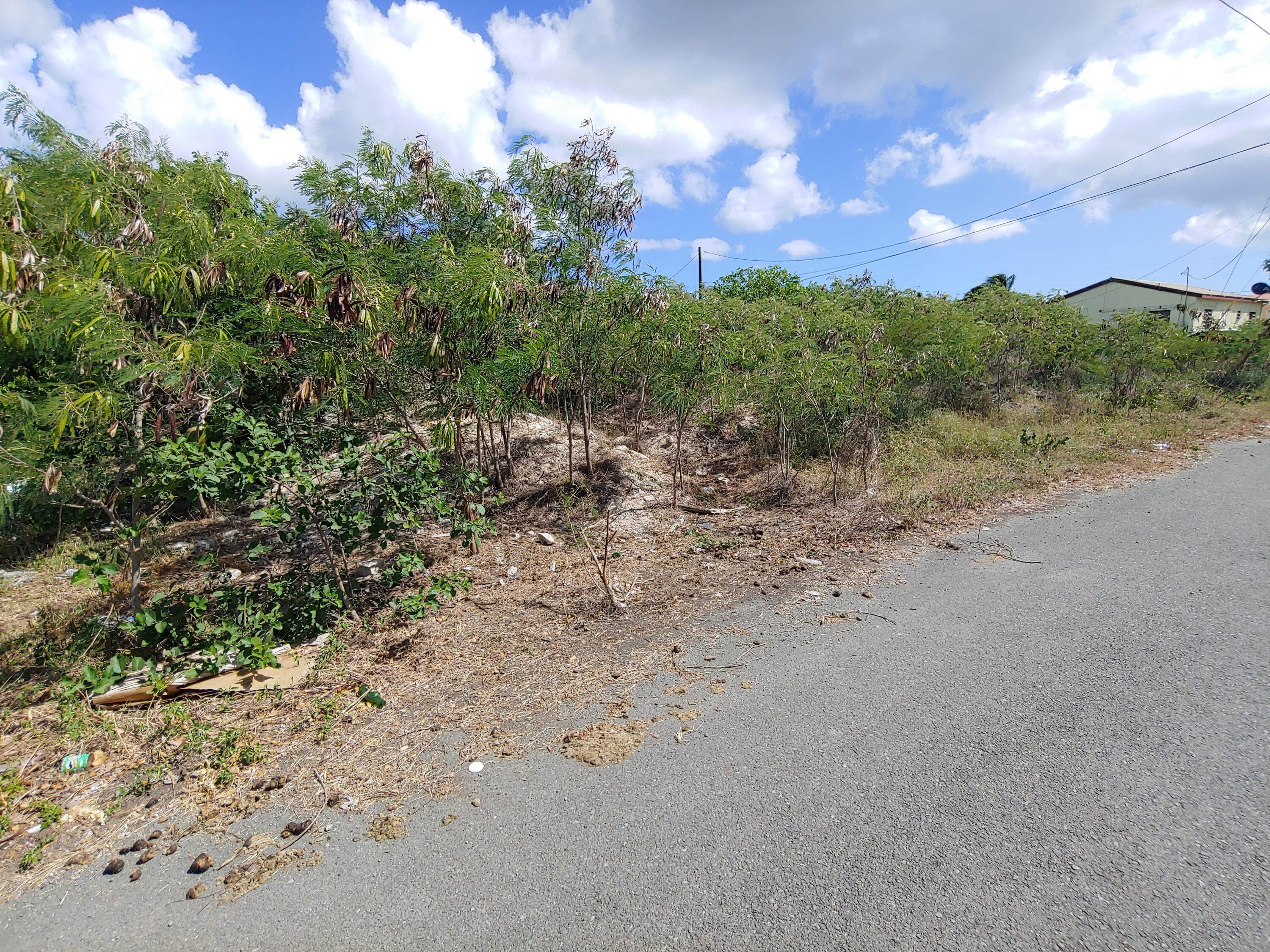 4. Land for Sale at 277 William's De PR St Croix, Virgin Islands 00840 United States Virgin Islands
