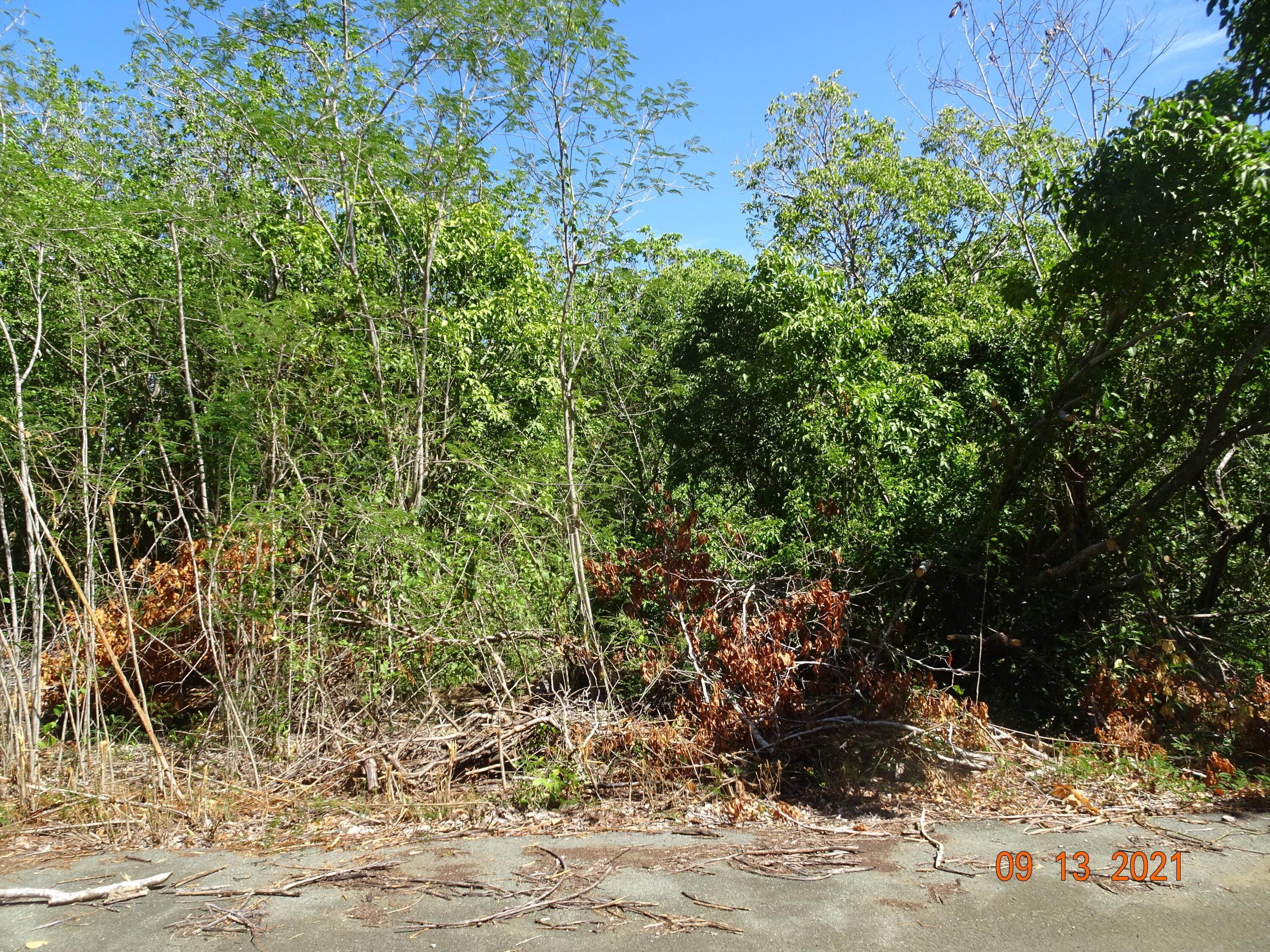 7. Land for Sale at 37 Pleasant Valley EB St Croix, Virgin Islands 00820 United States Virgin Islands