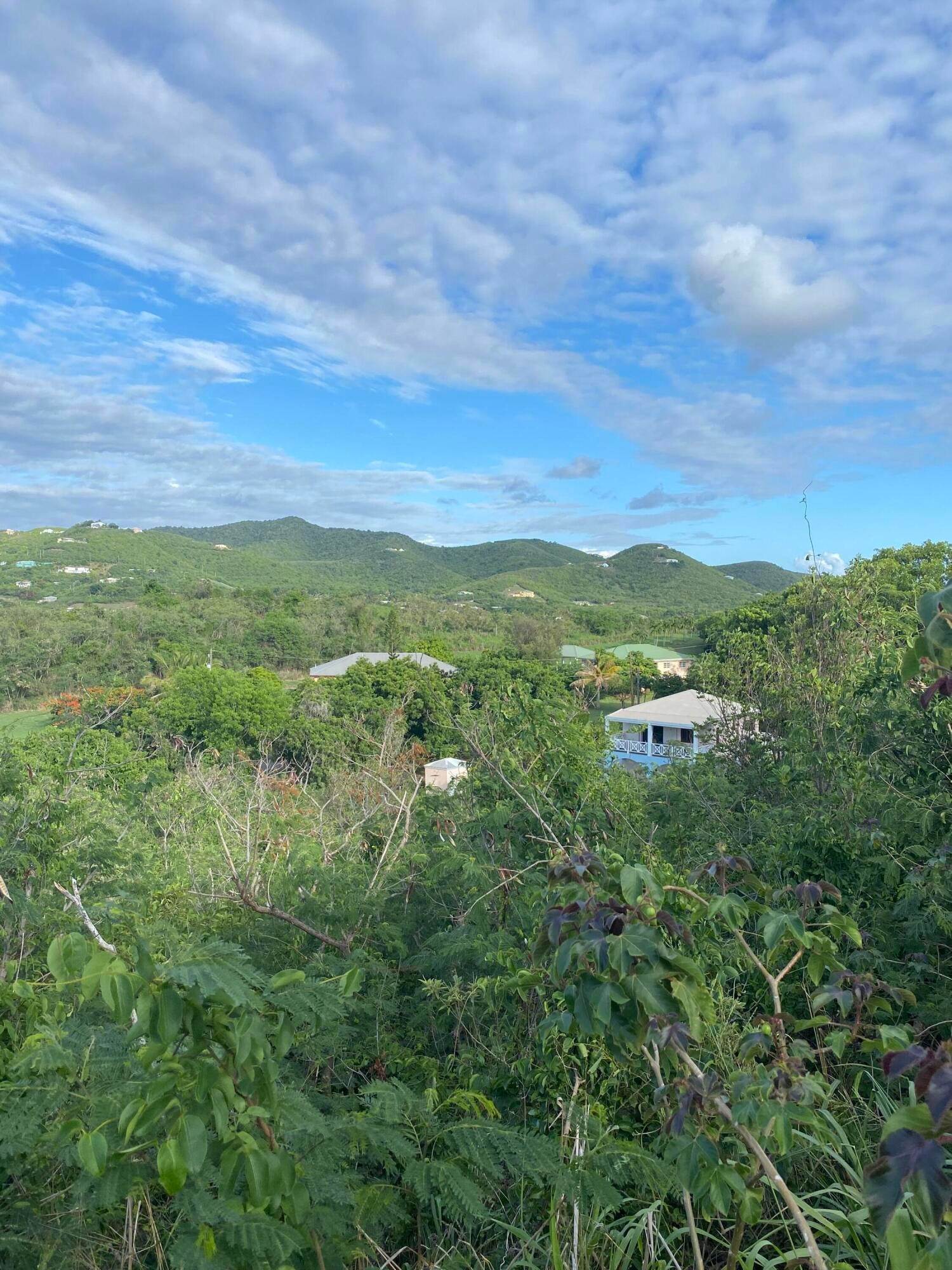 4. Land for Sale at 104 Southgate Farm EA St Croix, Virgin Islands 00820 United States Virgin Islands