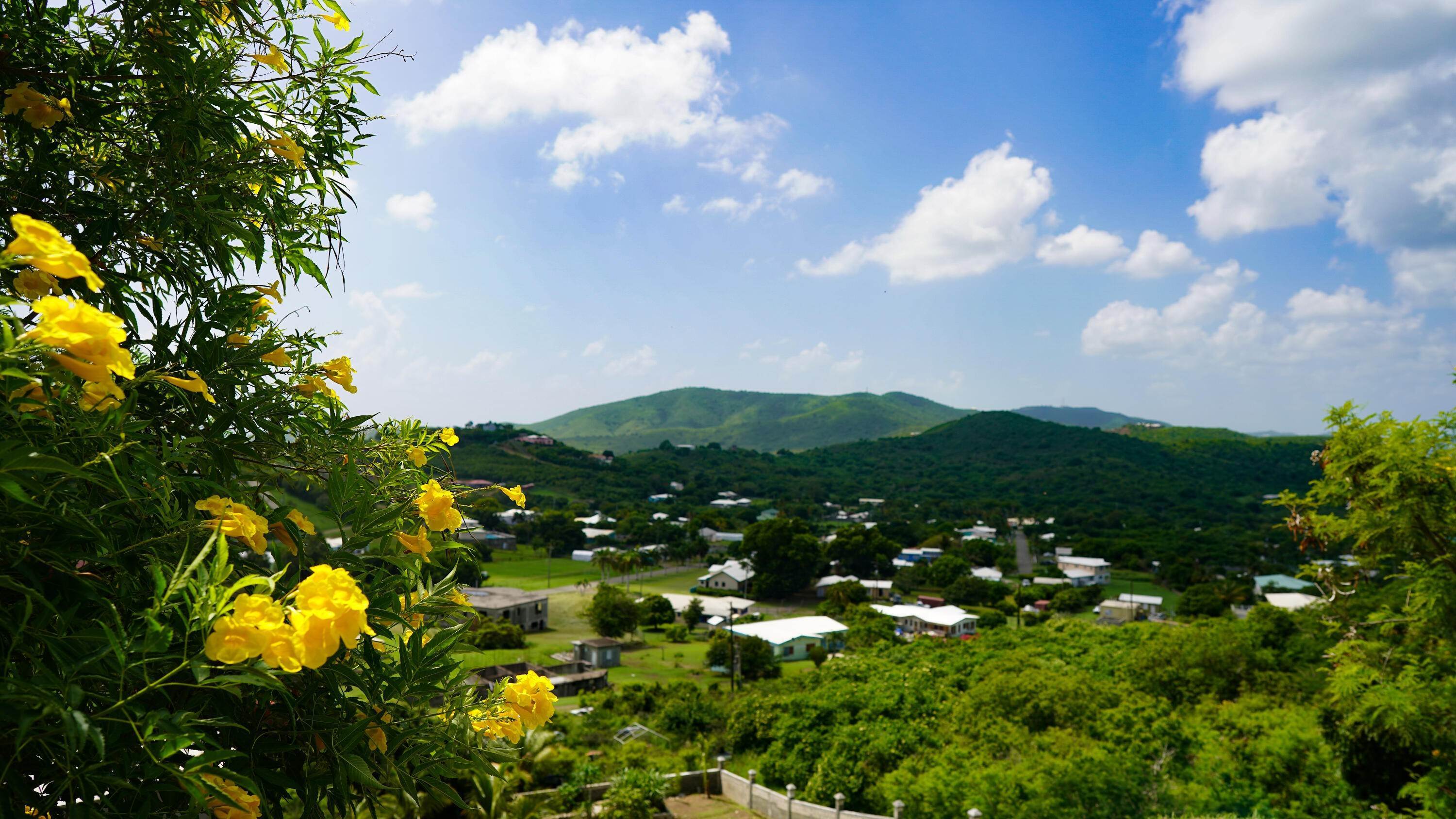 24. Land for Sale at 6 Tipperary EA St Croix, Virgin Islands 00820 United States Virgin Islands
