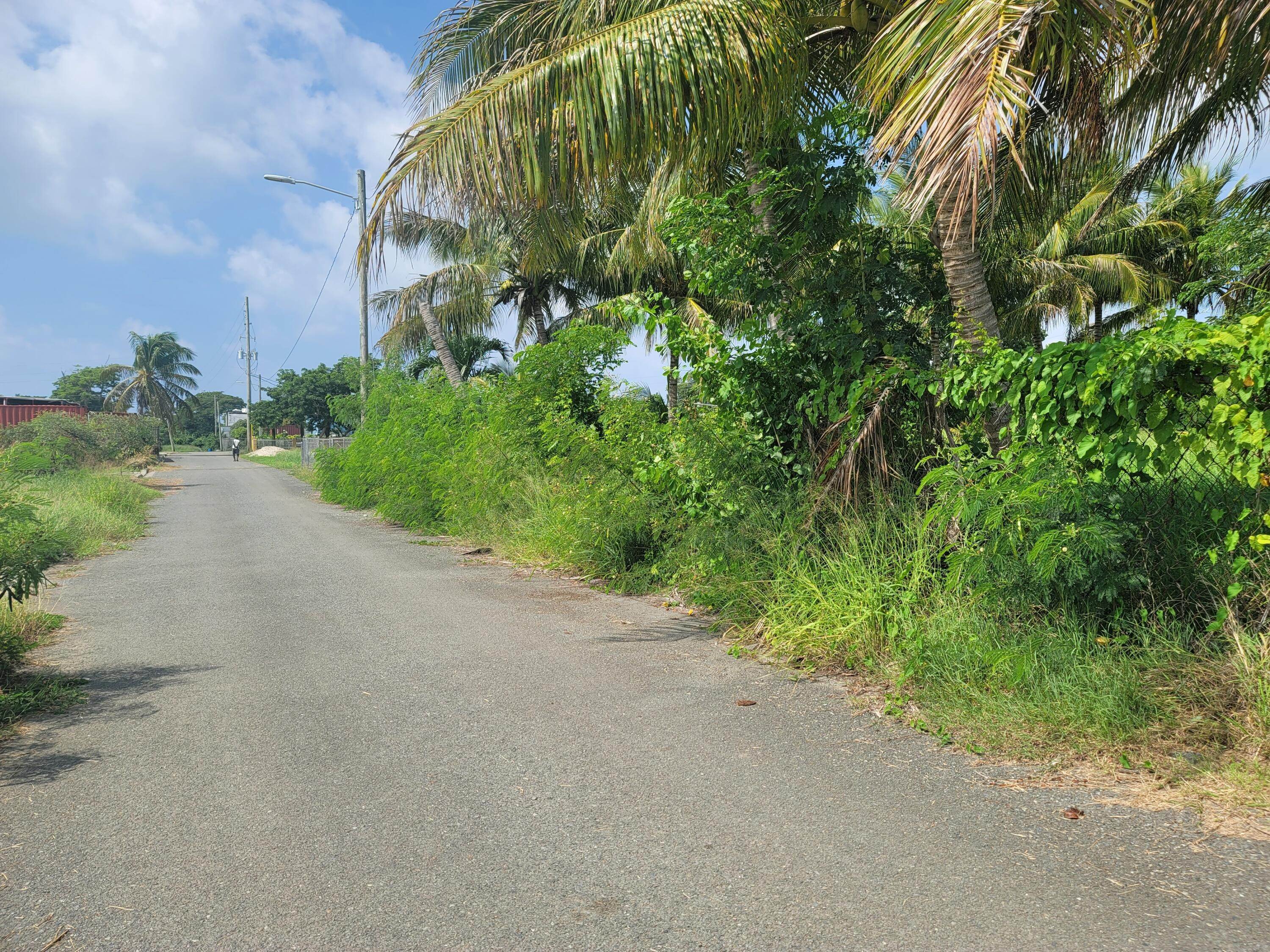 11. Land for Sale at 1068 William's De WE St Croix, Virgin Islands 00840 United States Virgin Islands