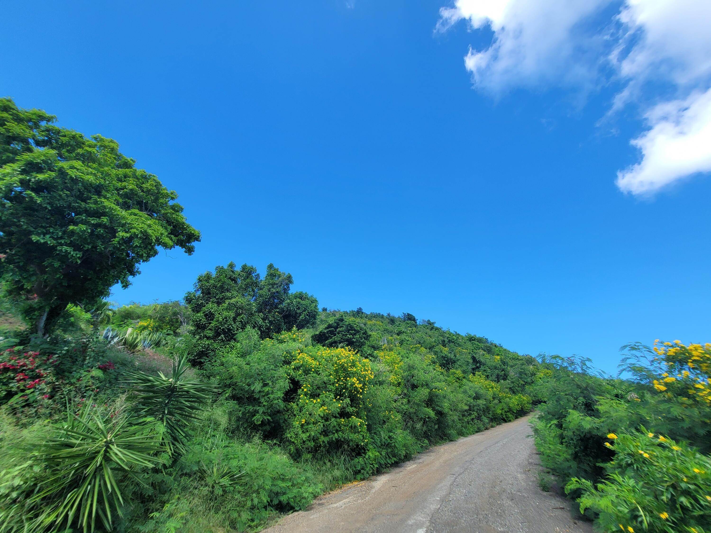 11. Land for Sale at 98 Bugby Hole CO St Croix, Virgin Islands 00820 United States Virgin Islands