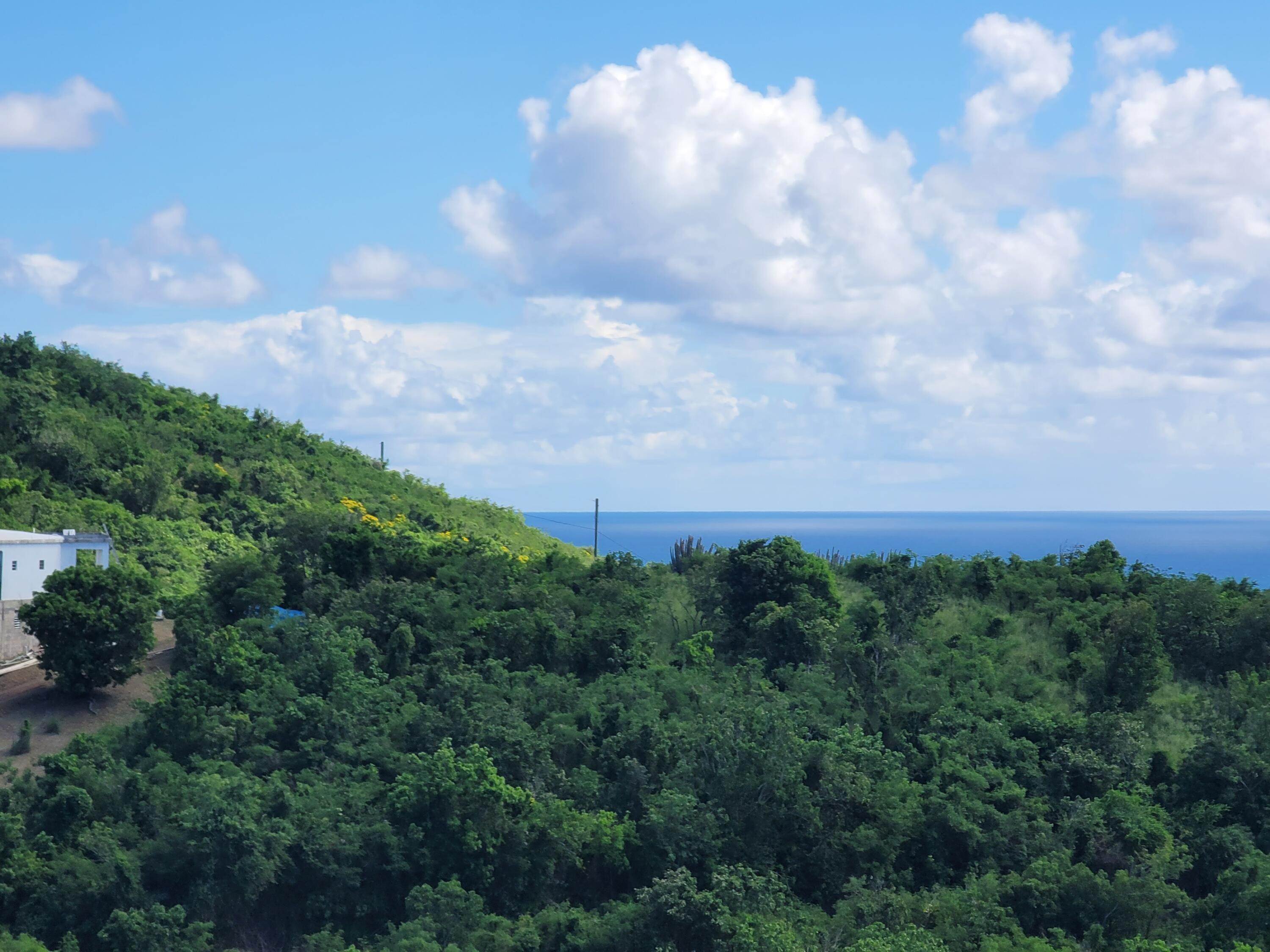 22. Land for Sale at 98 Bugby Hole CO St Croix, Virgin Islands 00820 United States Virgin Islands