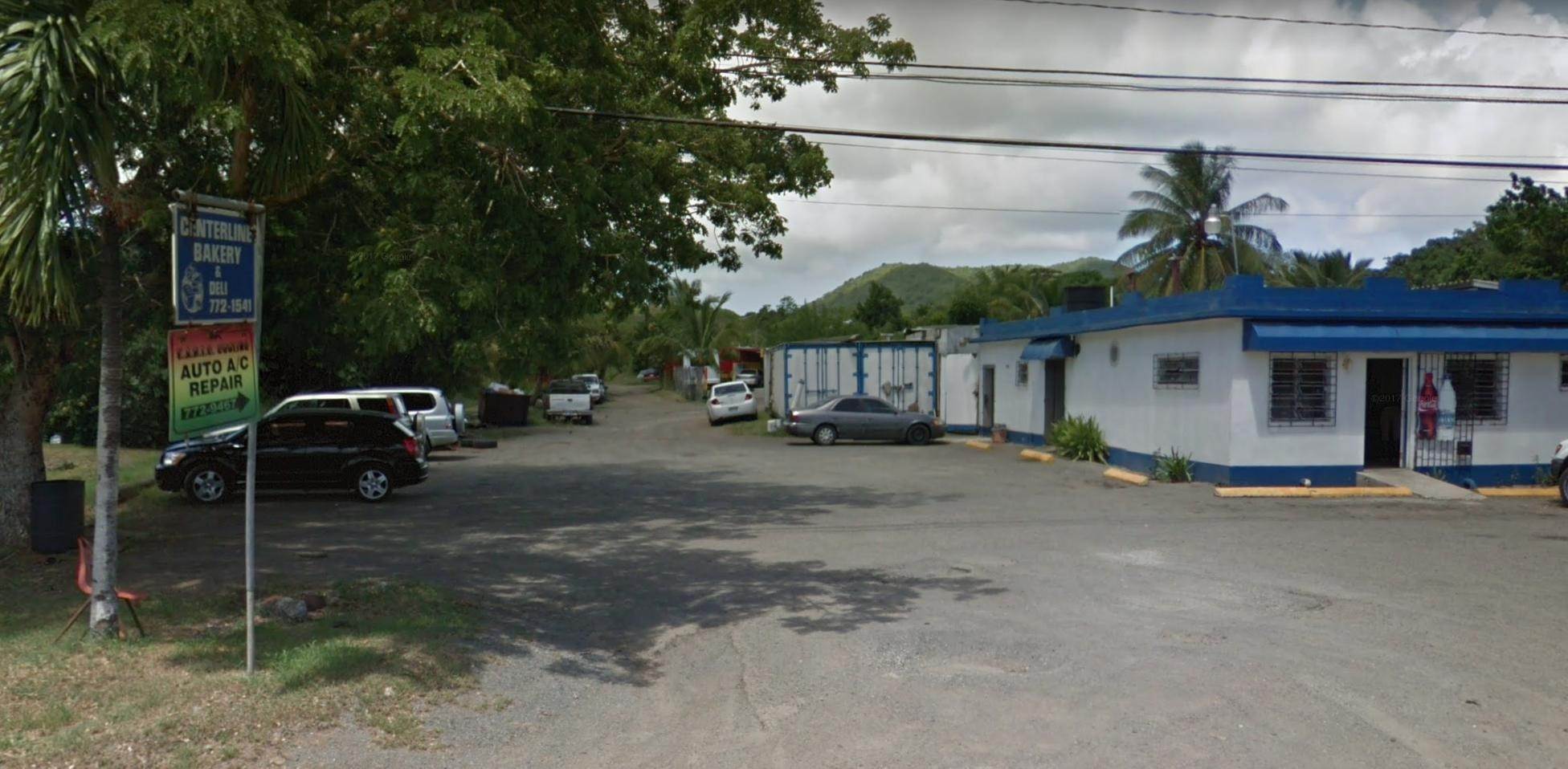 4. Land for Sale at REM 26A Mountain PR St Croix, Virgin Islands 00820 United States Virgin Islands