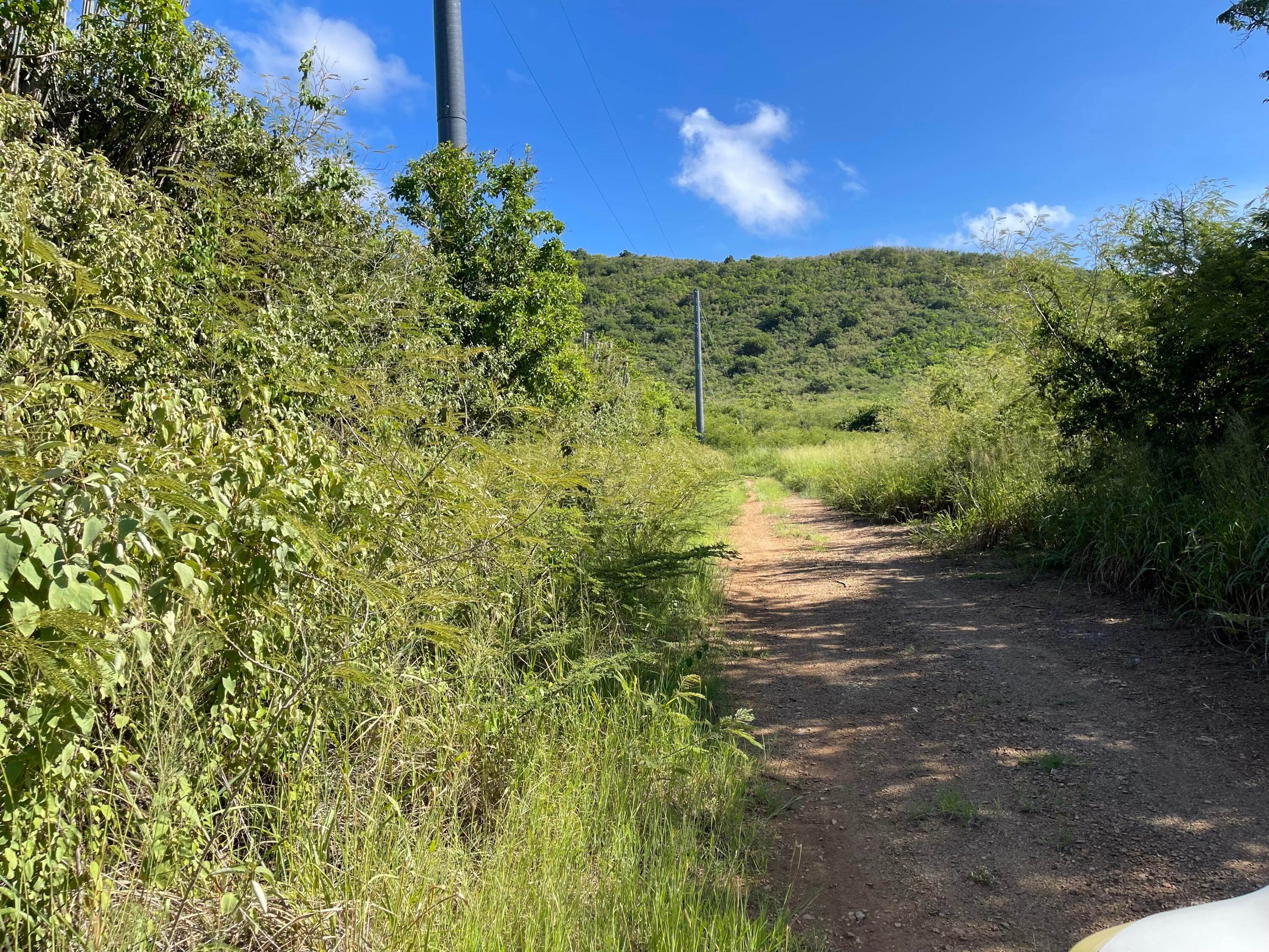 4. Land for Sale at 11 Yellow Cliff EB St Croix, Virgin Islands 00820 United States Virgin Islands