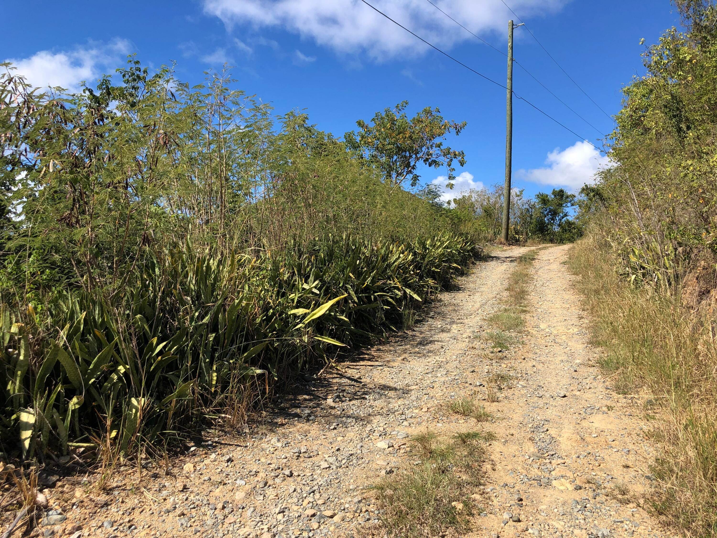 7. Land for Sale at 16 Concordia CORL St Croix, Virgin Islands 00830 United States Virgin Islands