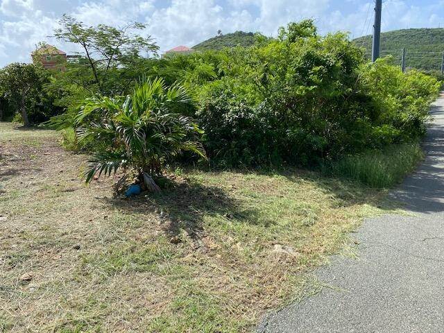 1. Land for Sale at 21A Consol Water Island SS St Thomas, Virgin Islands 00802 United States Virgin Islands