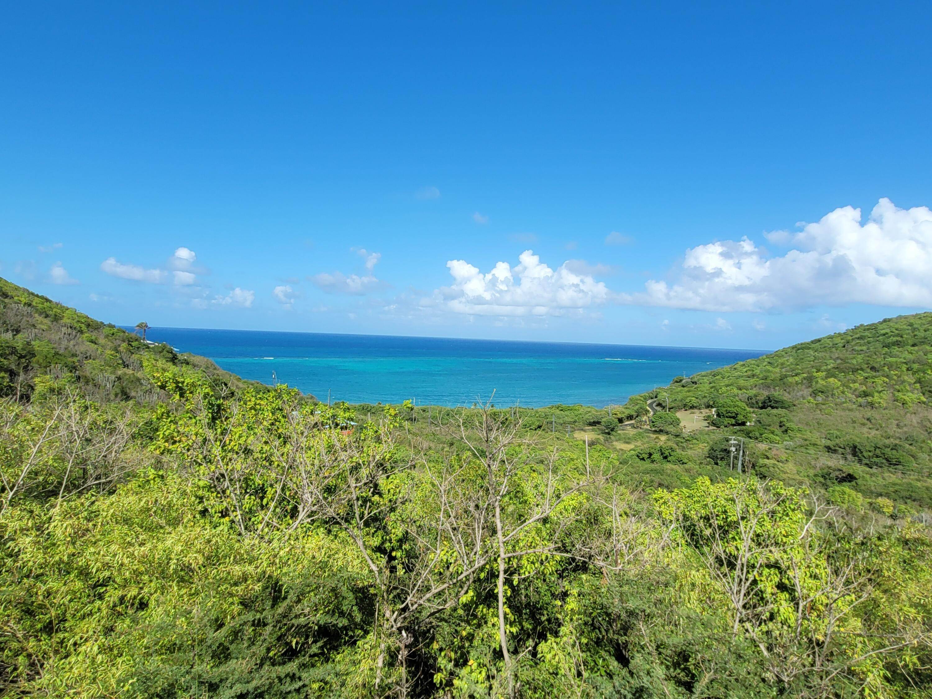 1. Land for Sale at 56 North Grapetree EB St Croix, Virgin Islands 00820 United States Virgin Islands
