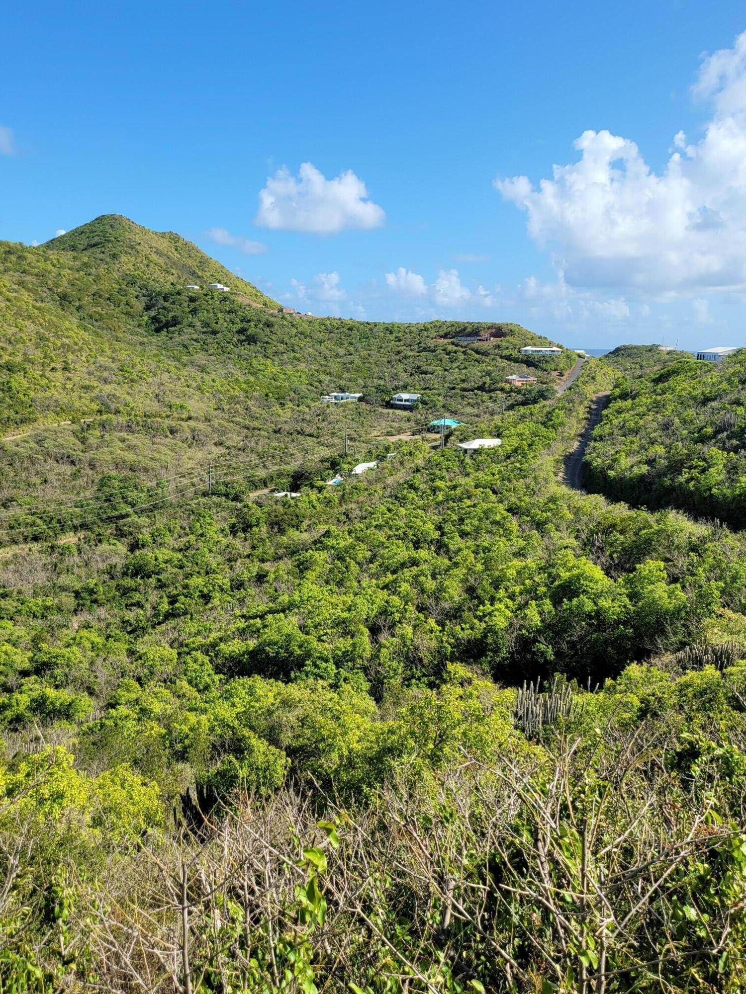 5. Land for Sale at 56 North Grapetree EB St Croix, Virgin Islands 00820 United States Virgin Islands