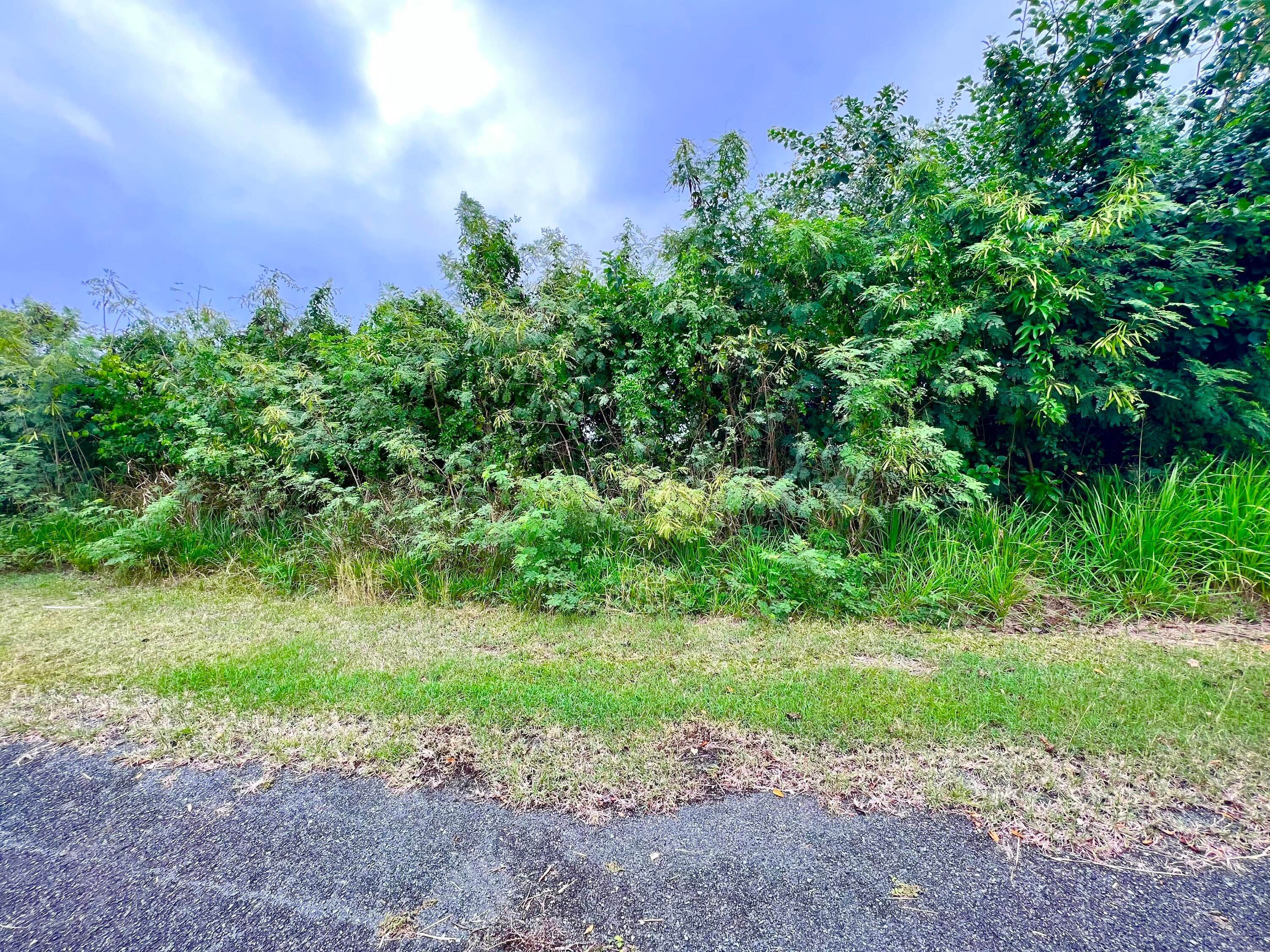 4. Land for Sale at 65 River PR St Croix, Virgin Islands 00840 United States Virgin Islands