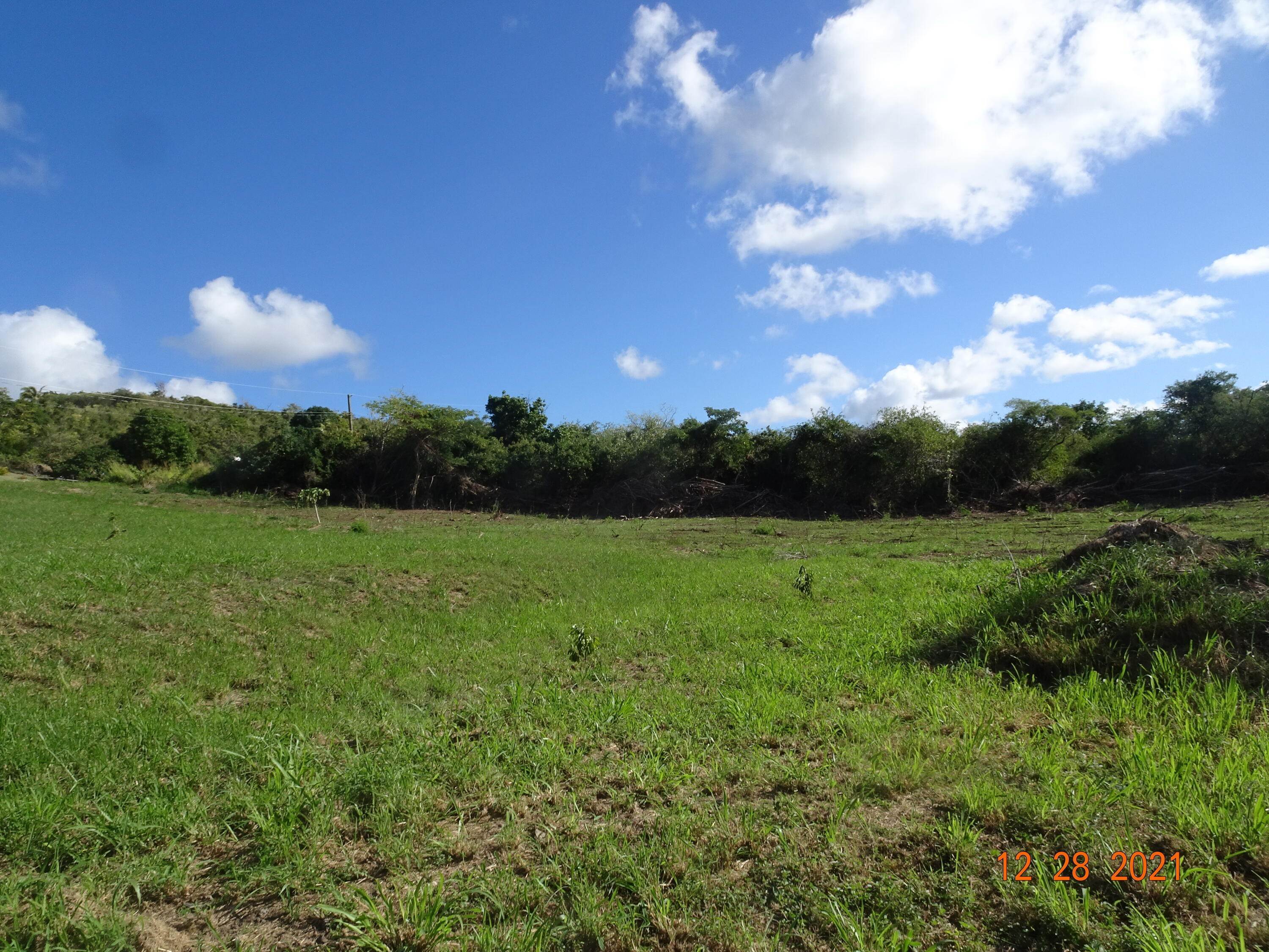 4. Land for Sale at 14-A Whim (Two Will) WE St Croix, Virgin Islands 00840 United States Virgin Islands