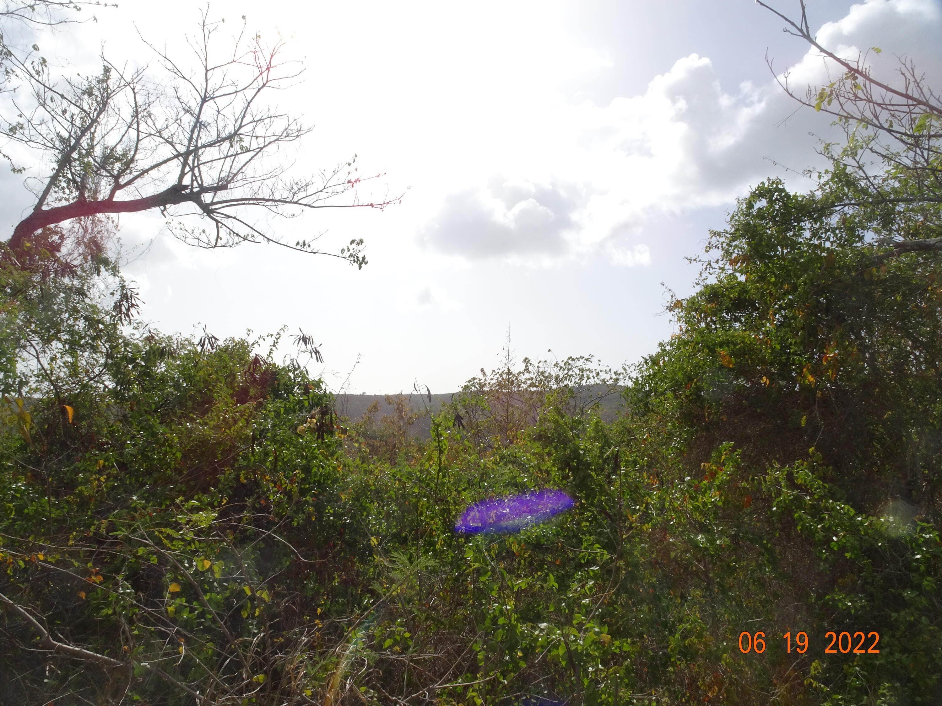 12. Land for Sale at 9 Orange Grove WE St Croix, Virgin Islands 00840 United States Virgin Islands