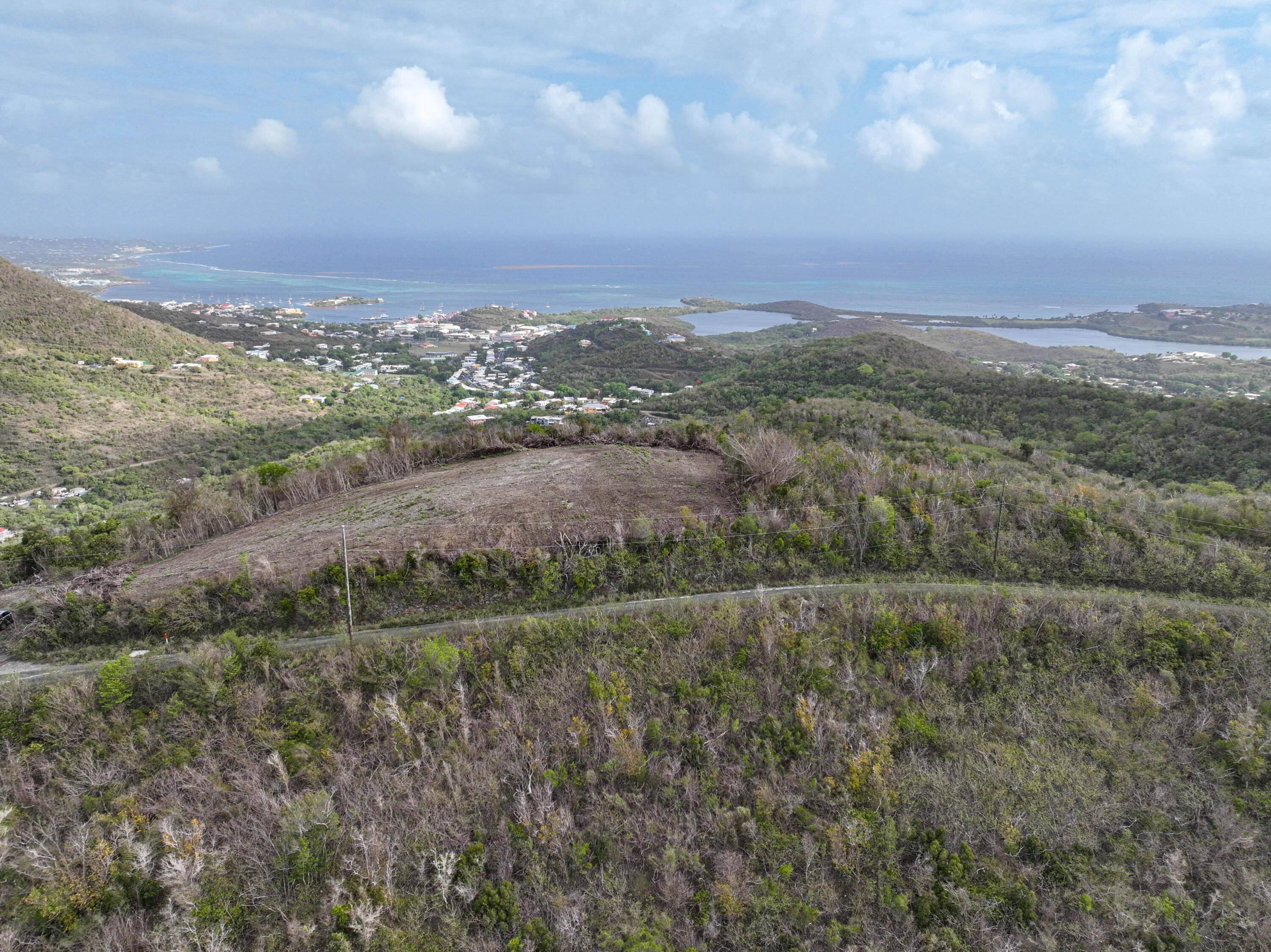 1. Land for Sale at 87 Eliza's Retreat EA St Croix, Virgin Islands 00820 United States Virgin Islands