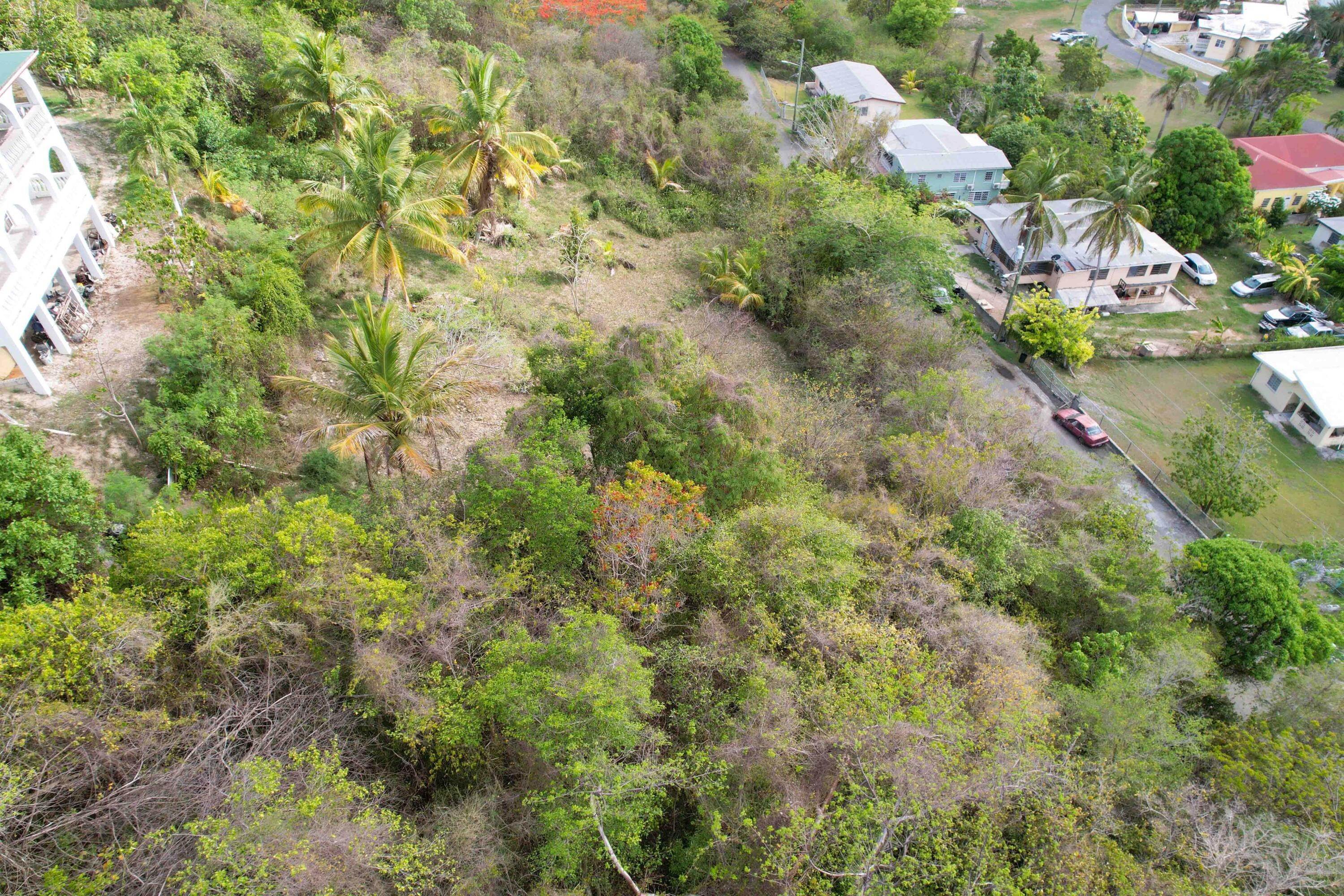 2. Land for Sale at 69 Sion Hill QU St Croix, Virgin Islands 00820 United States Virgin Islands