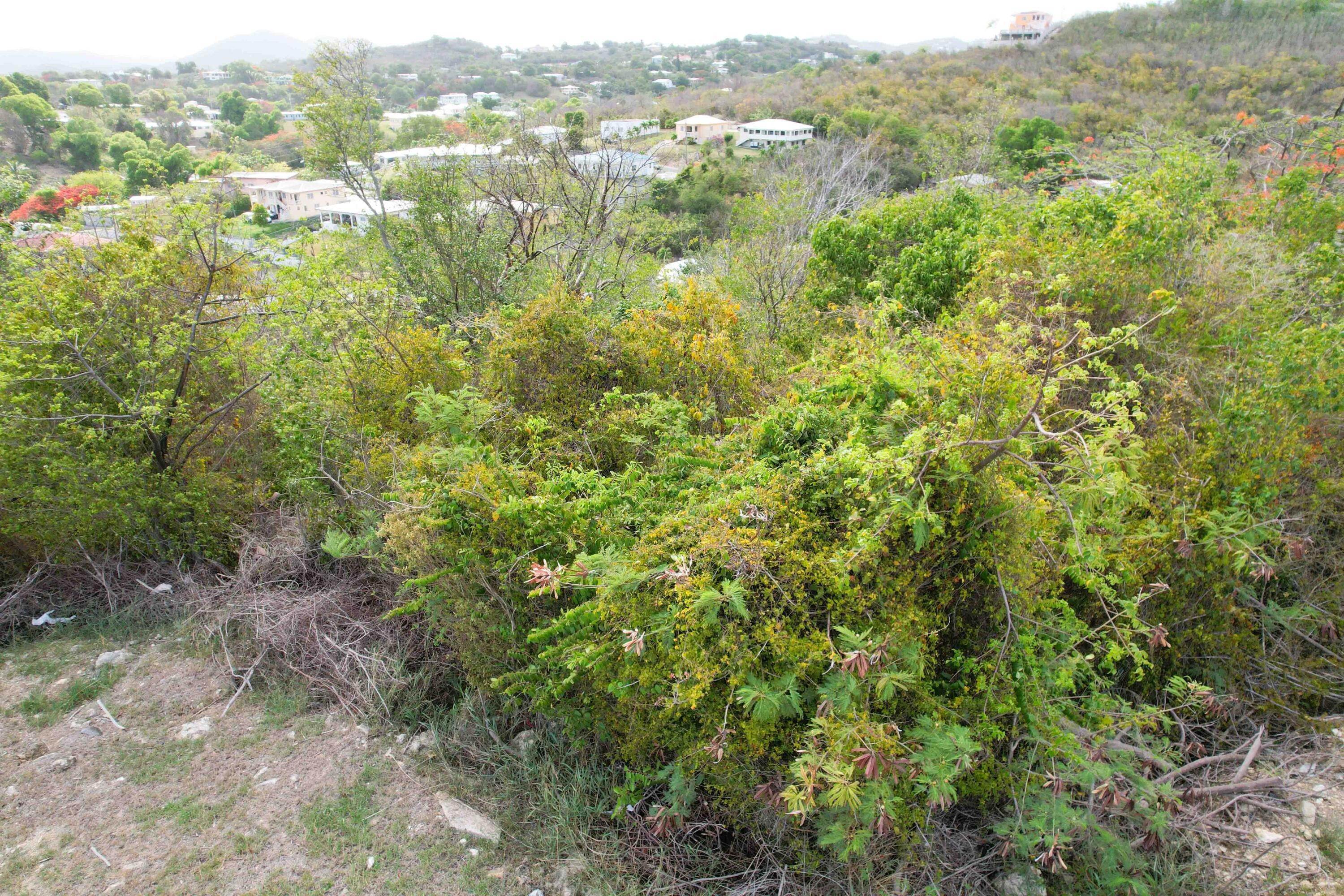7. Land for Sale at 69 Sion Hill QU St Croix, Virgin Islands 00820 United States Virgin Islands