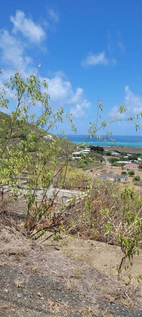 5. Land for Sale at 202 Union & Mt. Wash EA St Croix, Virgin Islands 00820 United States Virgin Islands