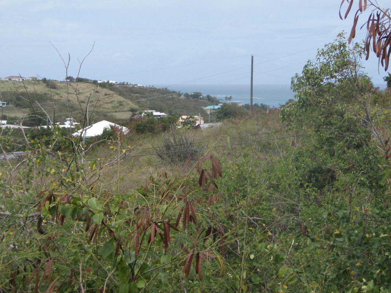 8. Land for Sale at 177 Cotton Valley EB St Croix, Virgin Islands 00820 United States Virgin Islands
